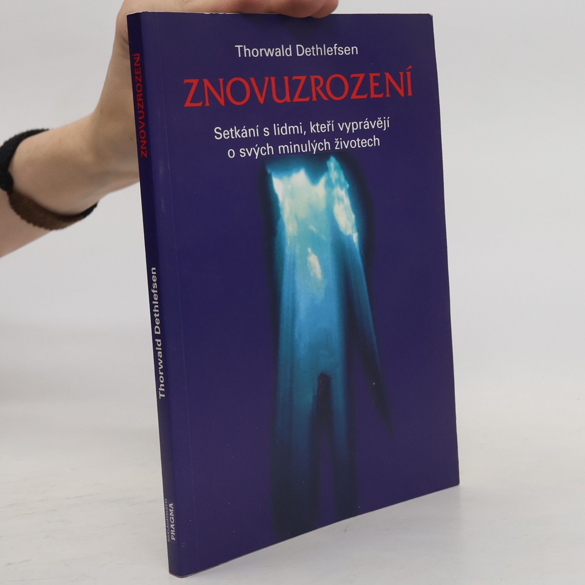 Thorwald Dethlefsen Znovuzrození : setkání s lidmi, kteří vyprávějí o svých minulých životech
