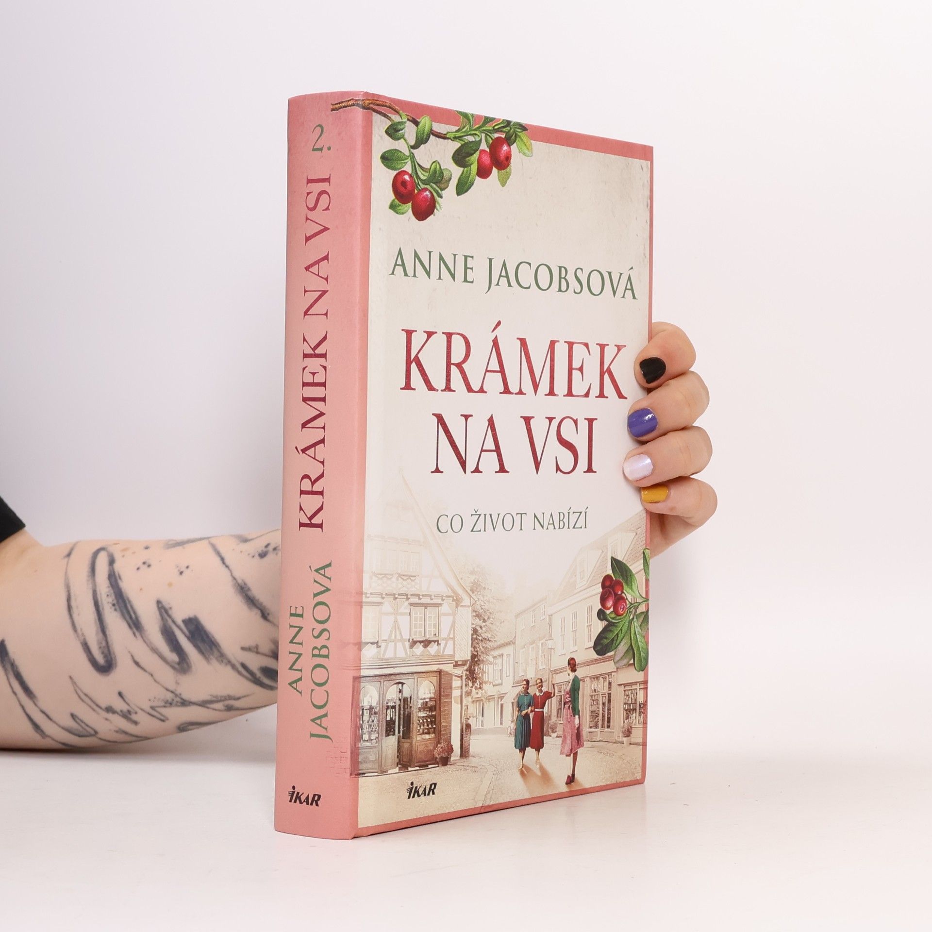 Anne Jacobs Krámek na vsi