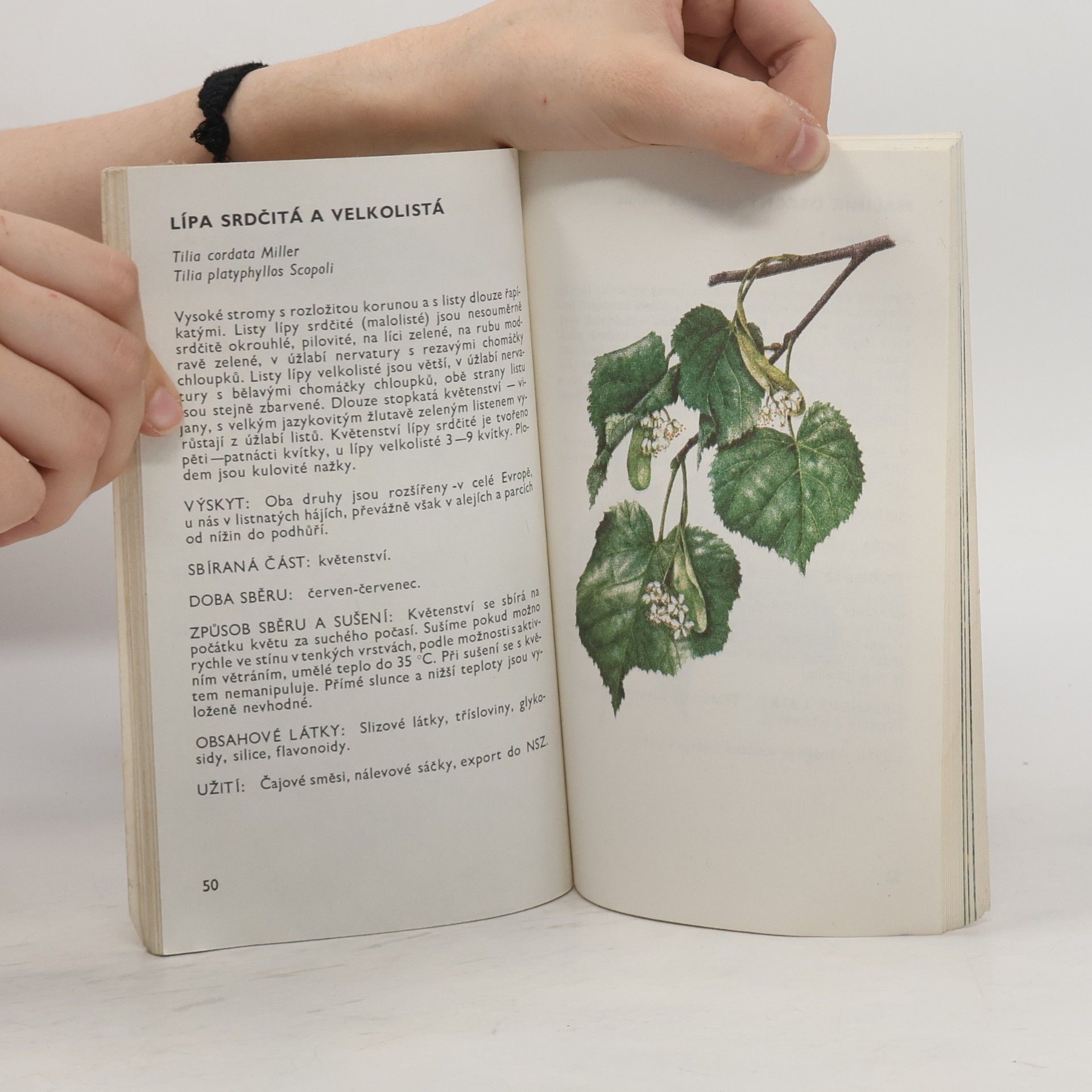 Ludmila Černá Malý herbář léčivých rostlin