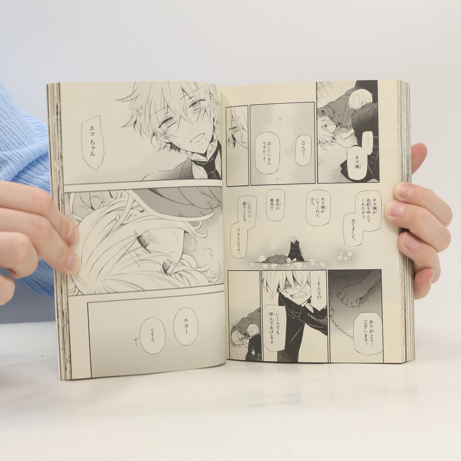 Jun Mochizuki Pandora Hearts