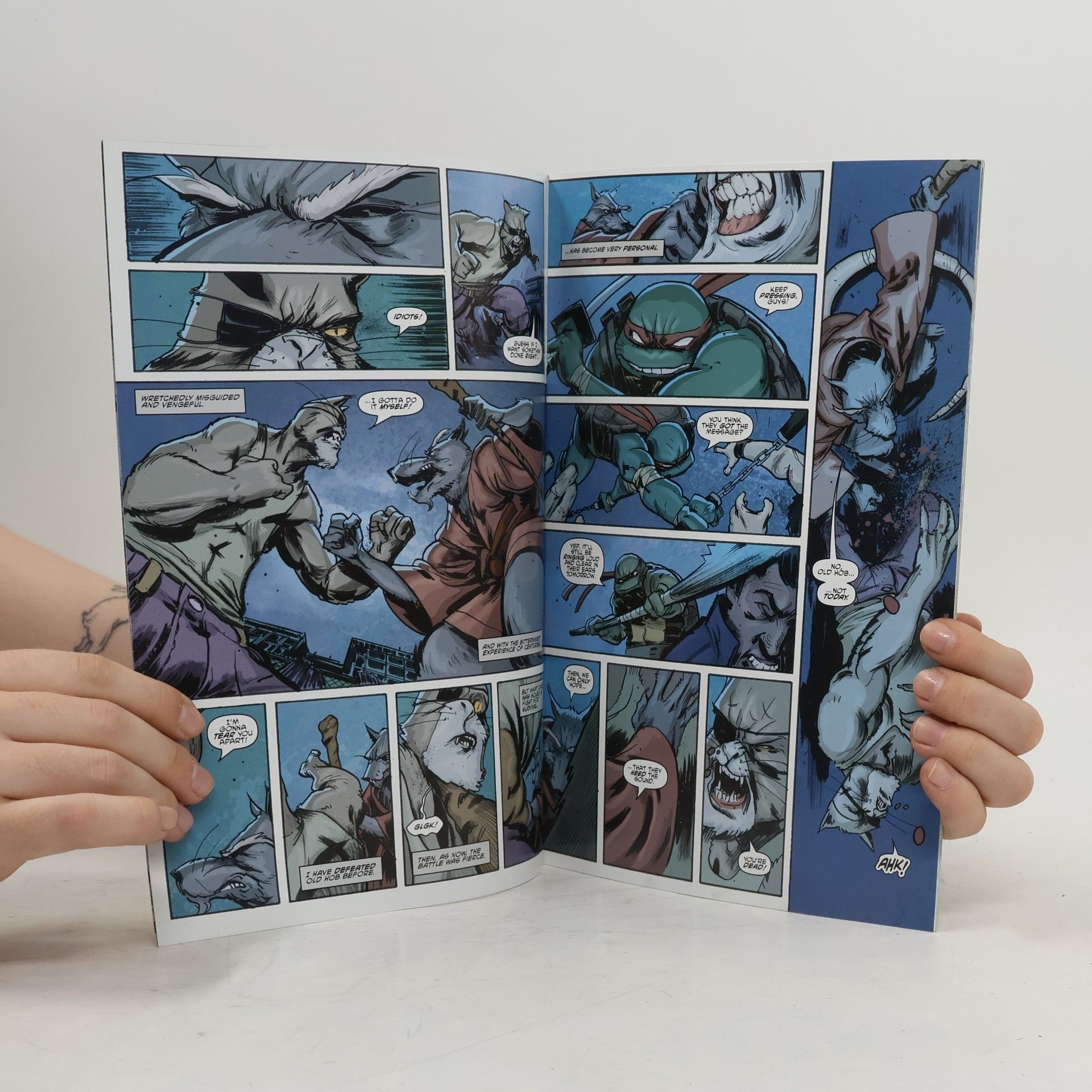 Collectif d'auteurs Teenage Mutant Ninja Turtles 1. Hundred Penny Press