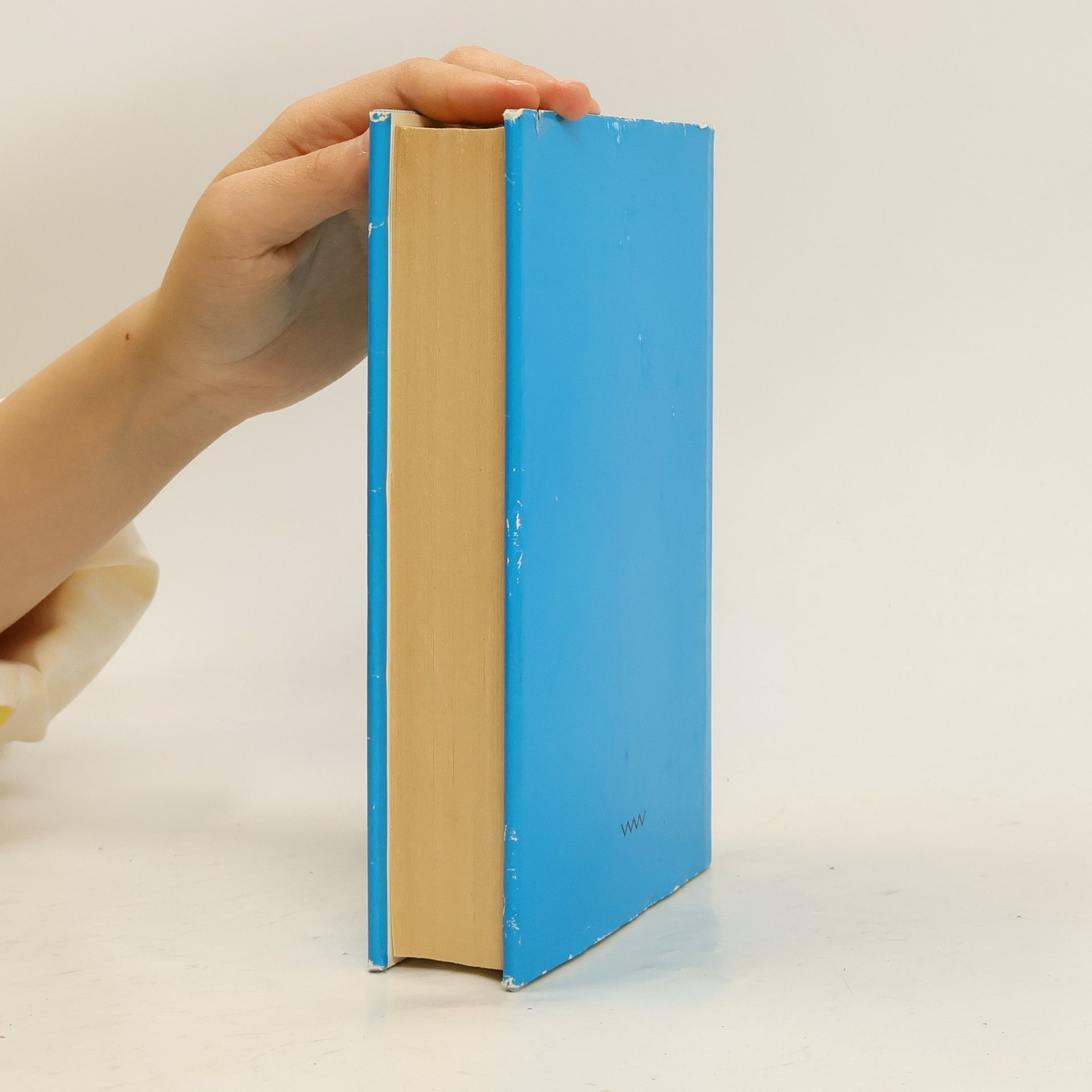 Kurt Tucholsky Ein Pyrenäenbuch