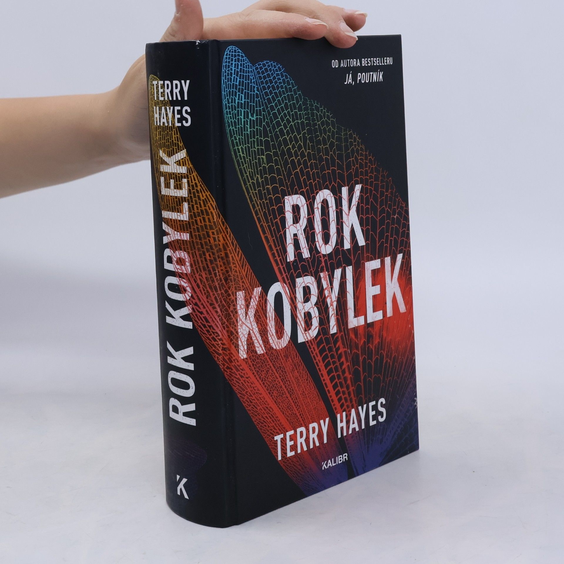 Terry Hayes Rok kobylek