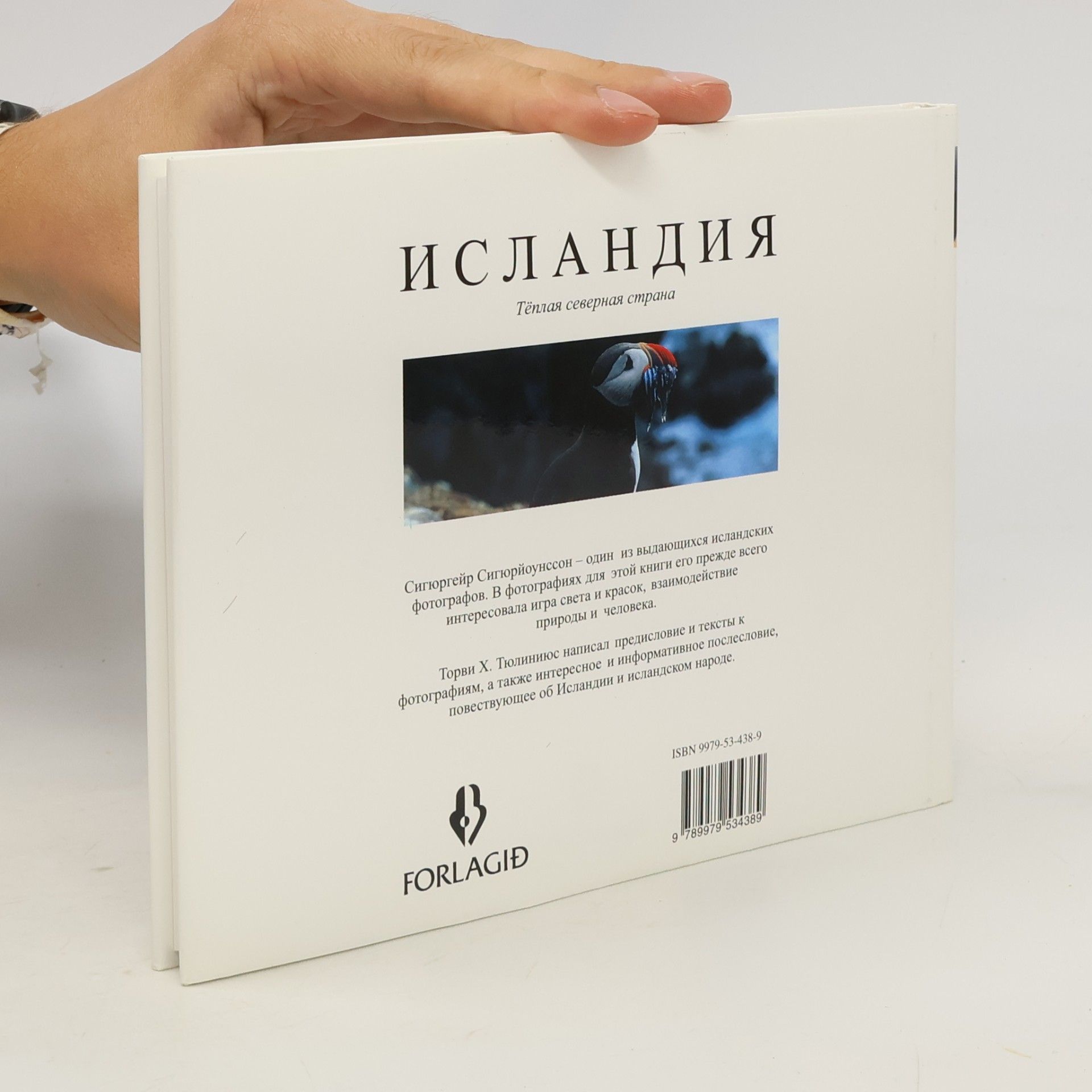 Сигюргейр Сигюрйоунссон Исландия
