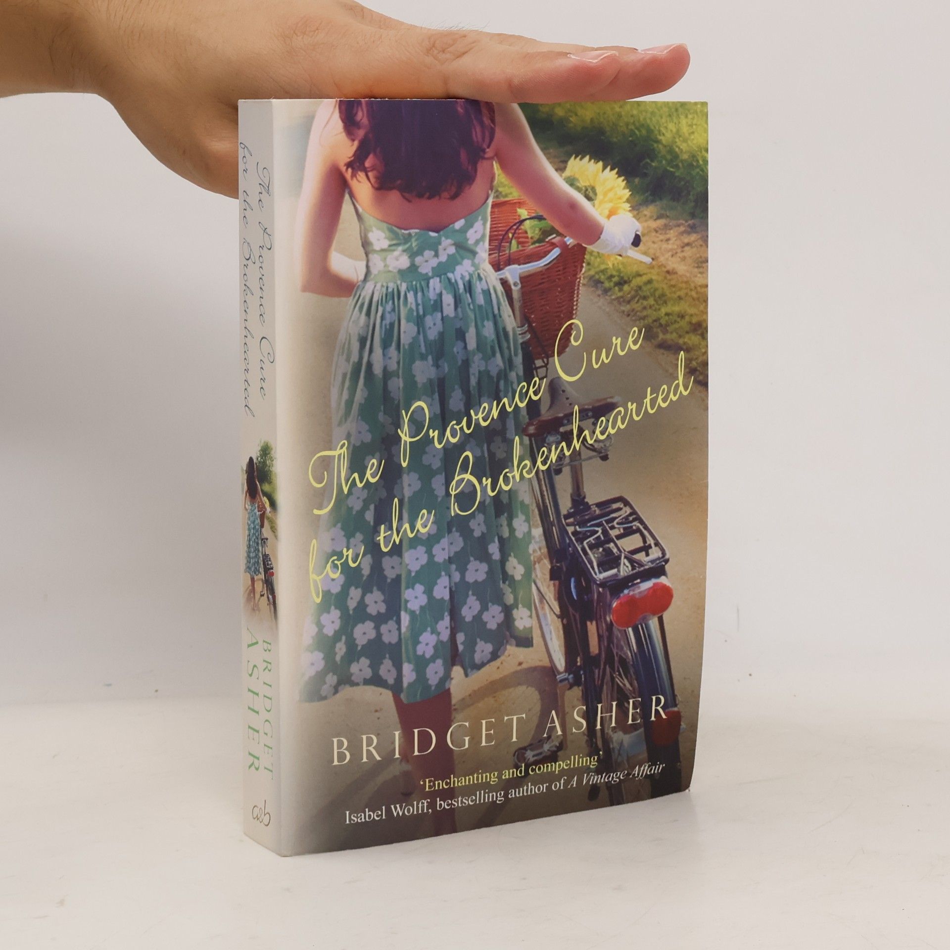 Bridget Asher The Provence cure for the brokenhearted