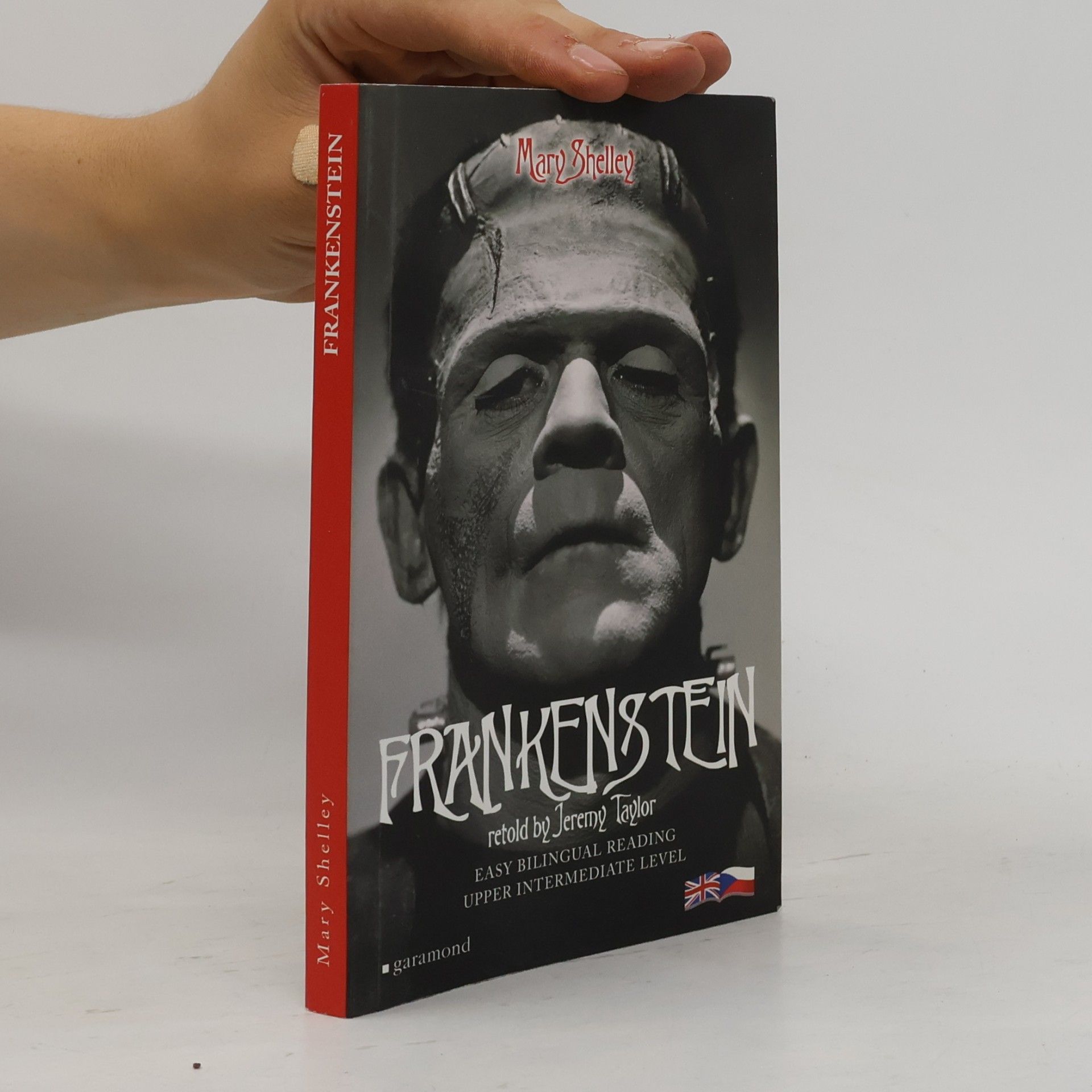 Mary Shelley Frankenstein