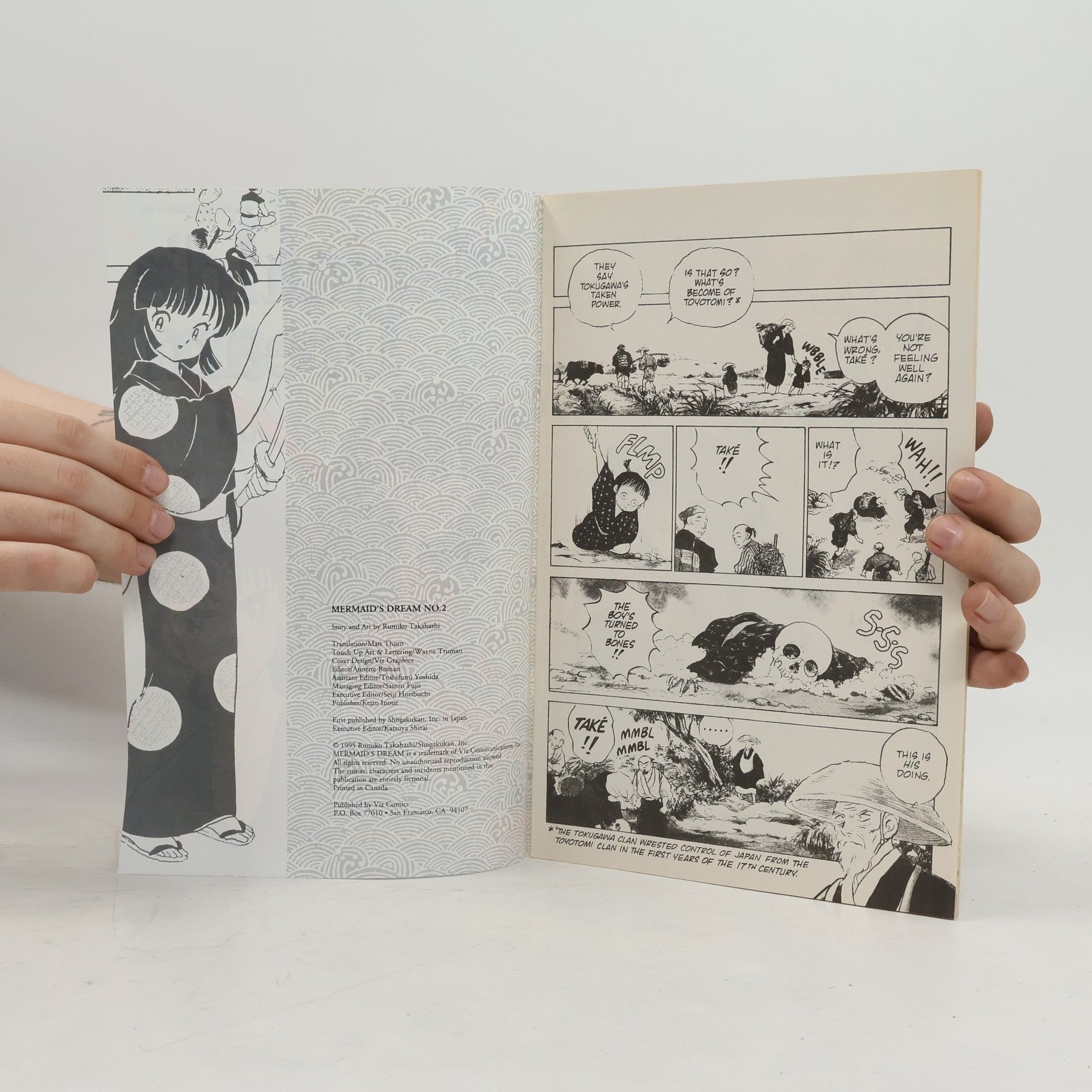 Rumiko Takahashi Mermaid's Dream 2