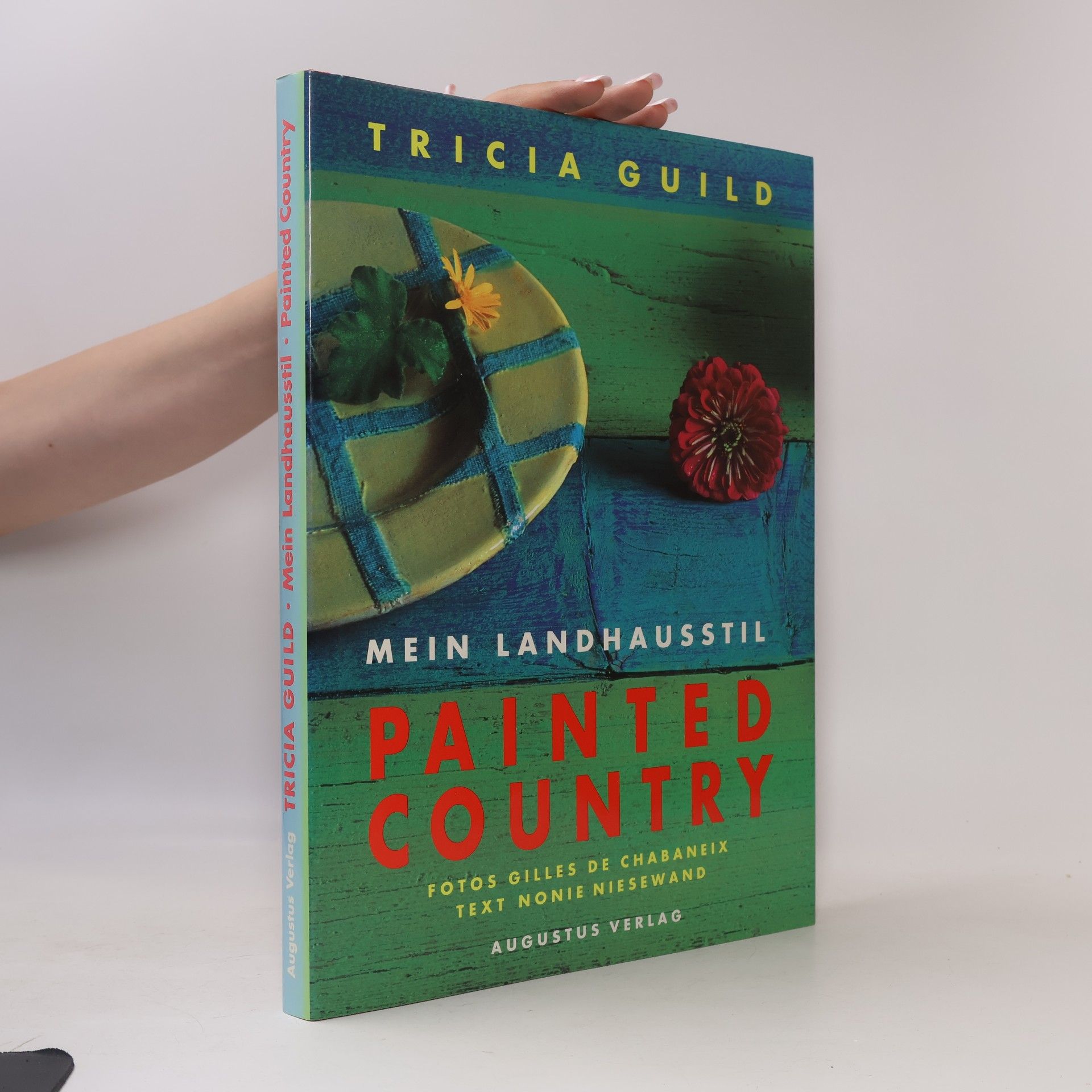 Tricia Guild Painted country