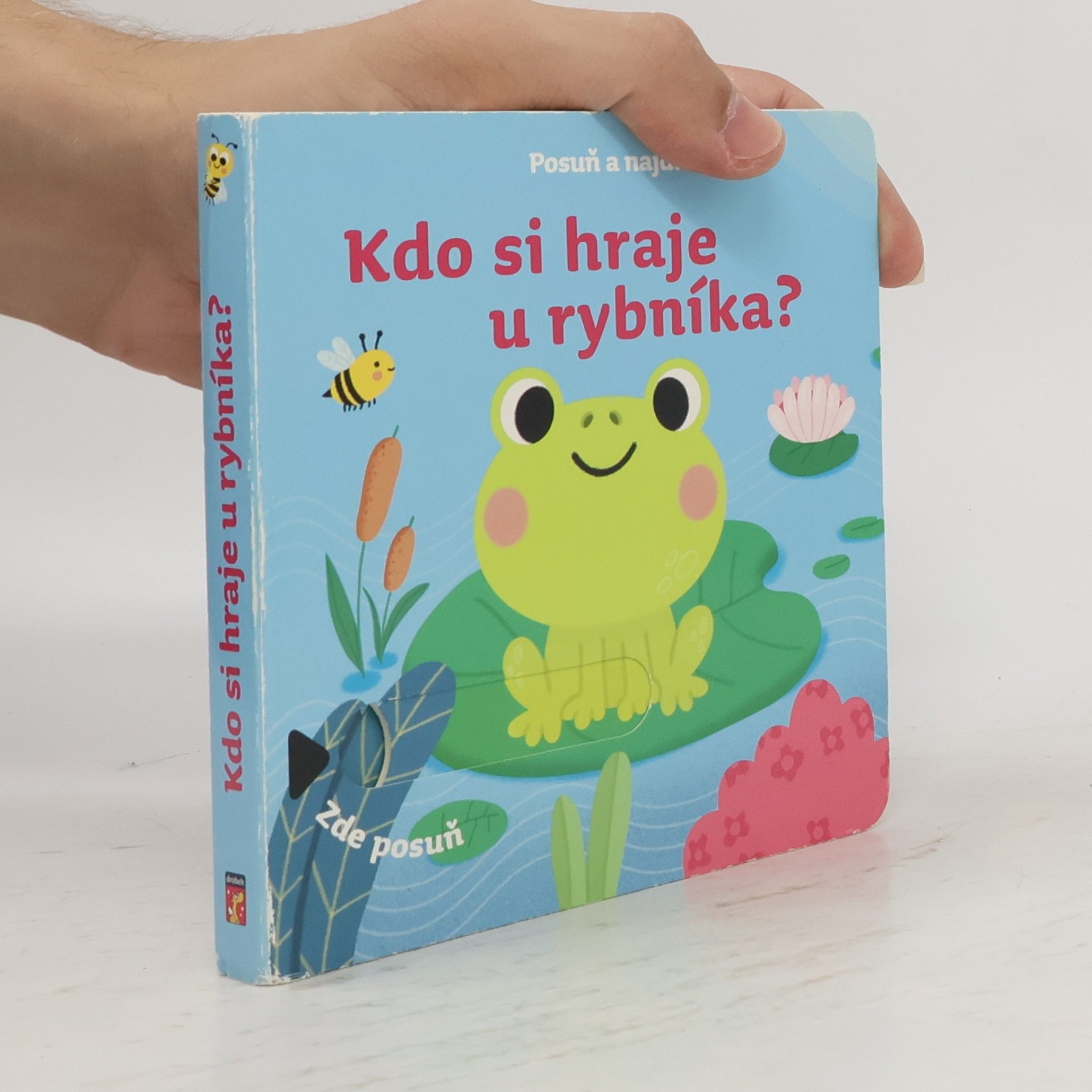 Alice Kottová Kdo si hraje u rybníka?