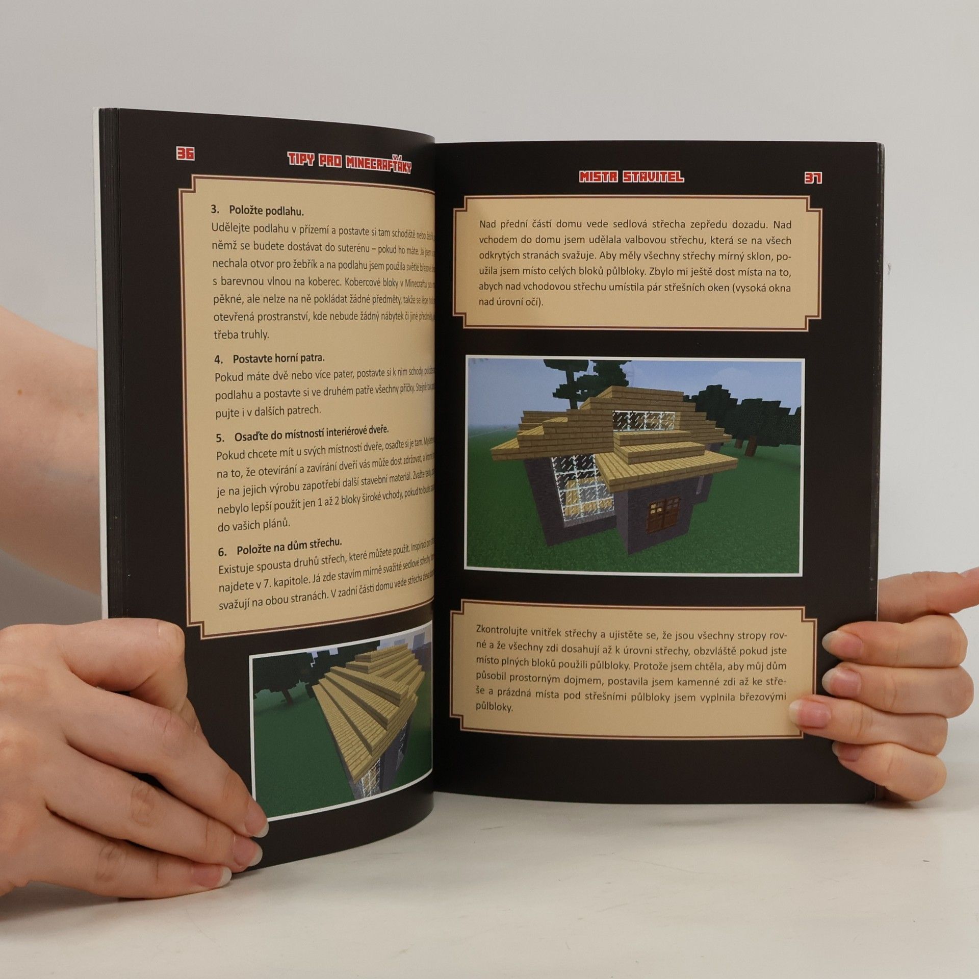 Megan Miller Tajné triky pro Minecrafťáky. Mistr stavitel