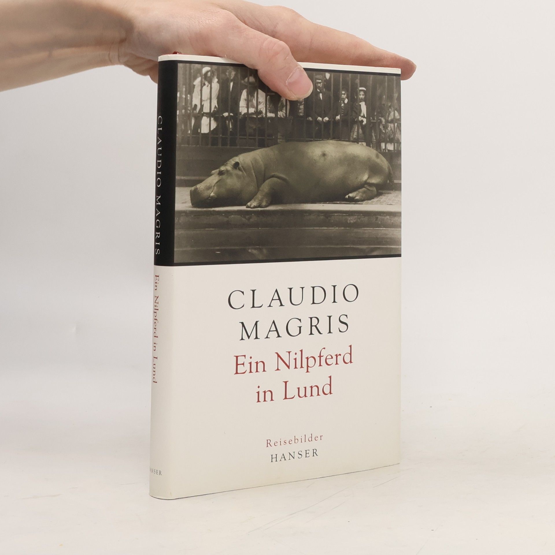 Claudio Magris Ein Nilpferd in Lund