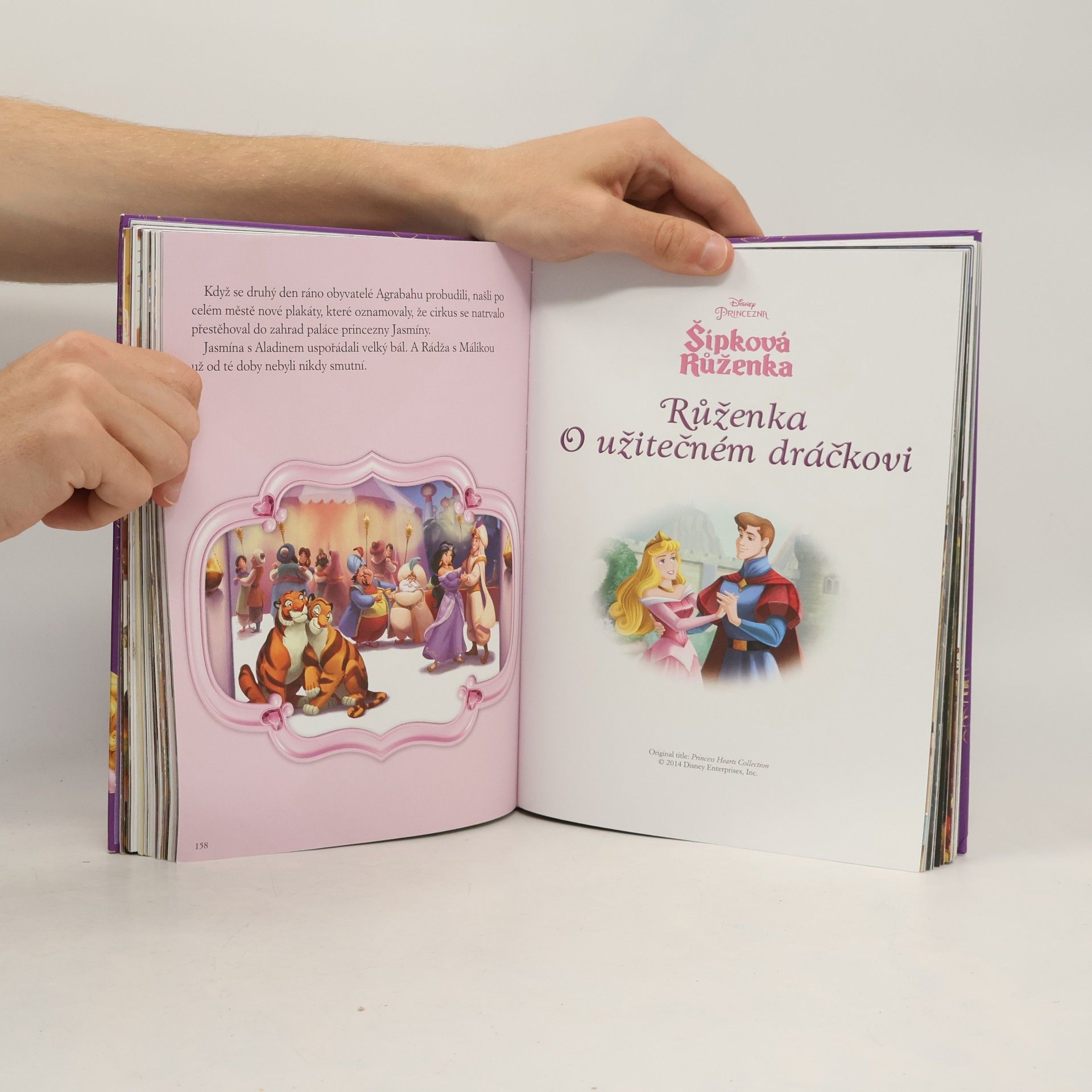 Walt Disney Princezna - velká kniha pohádek