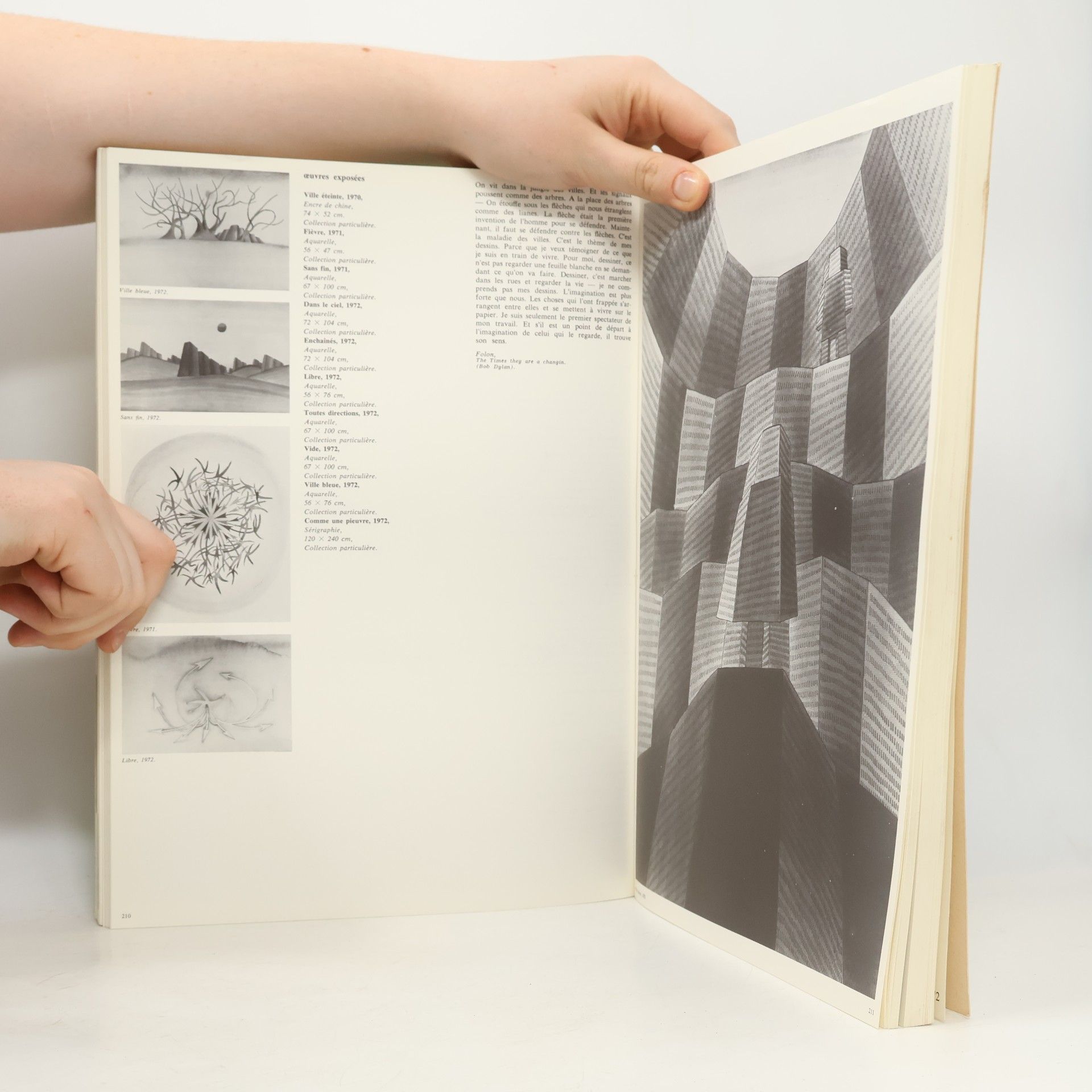 Autorenkollektiv Douze ans d'art contemporain en France 1960-1972