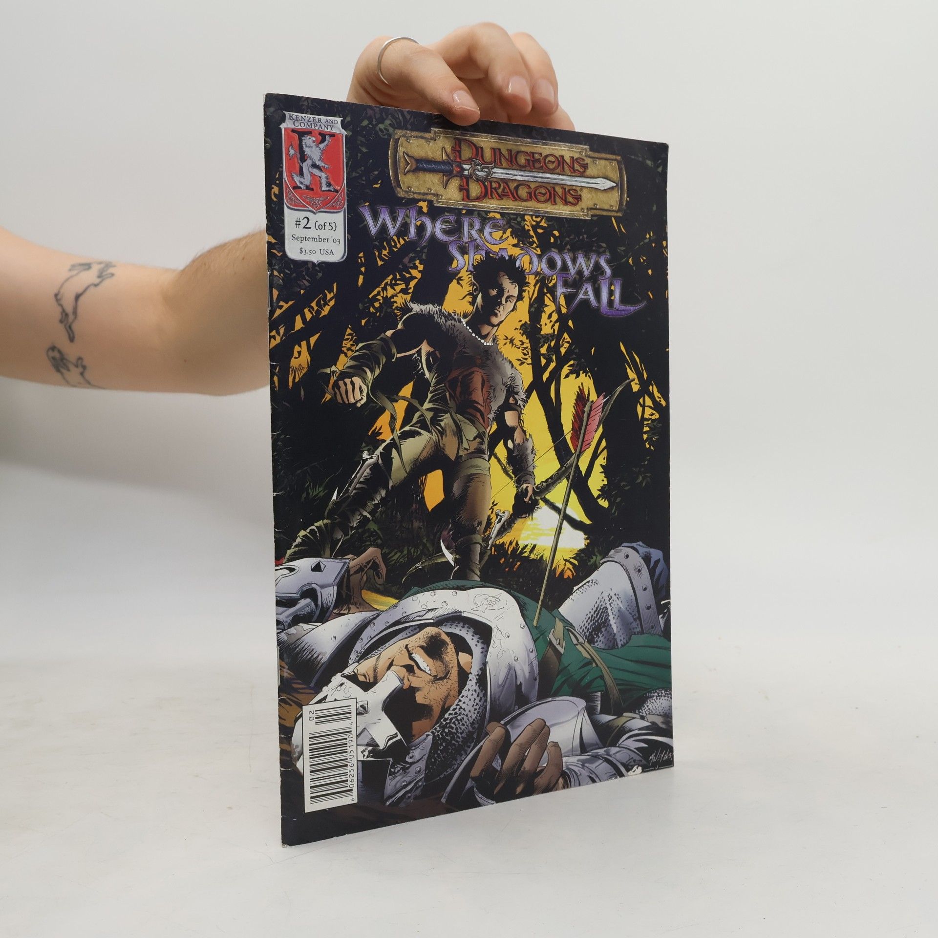 Kolektív autorov Dungeons Dragons. Where Shadows Fail 2