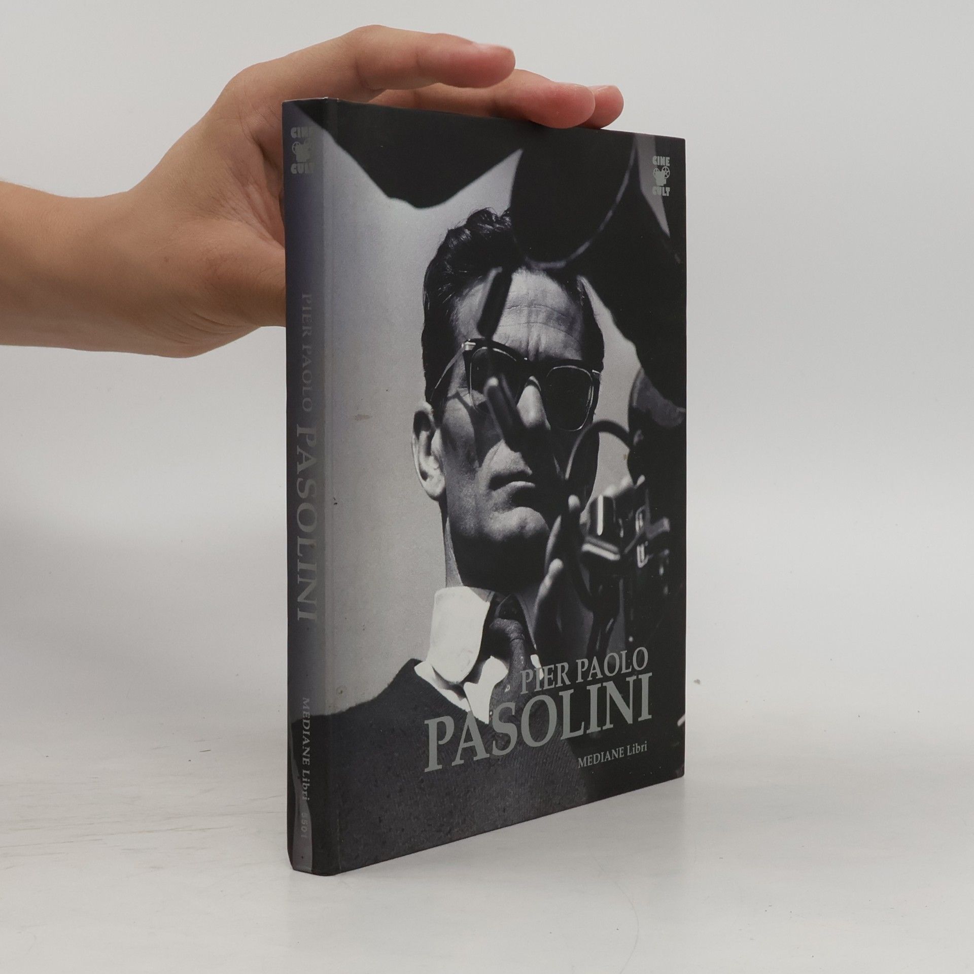 Kolektív autorov Pier Paolo Pasolini