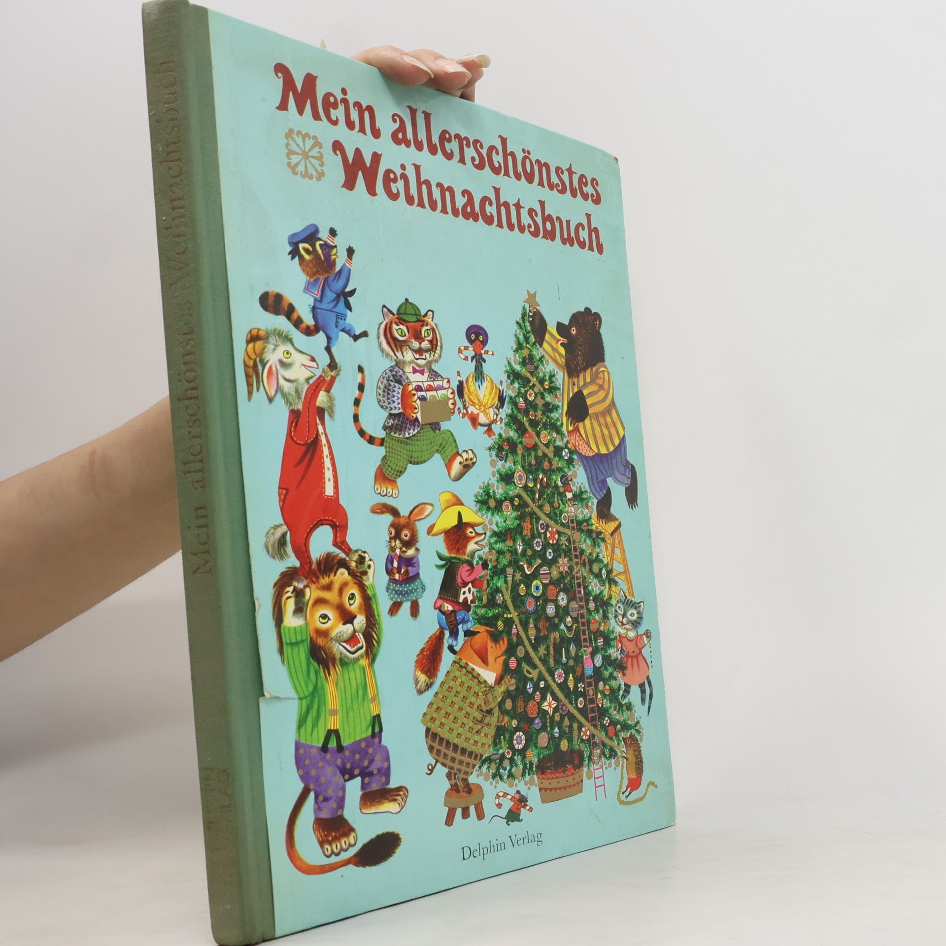 Autorenkollektiv Mein allerschönstes Weihnachtsbuch