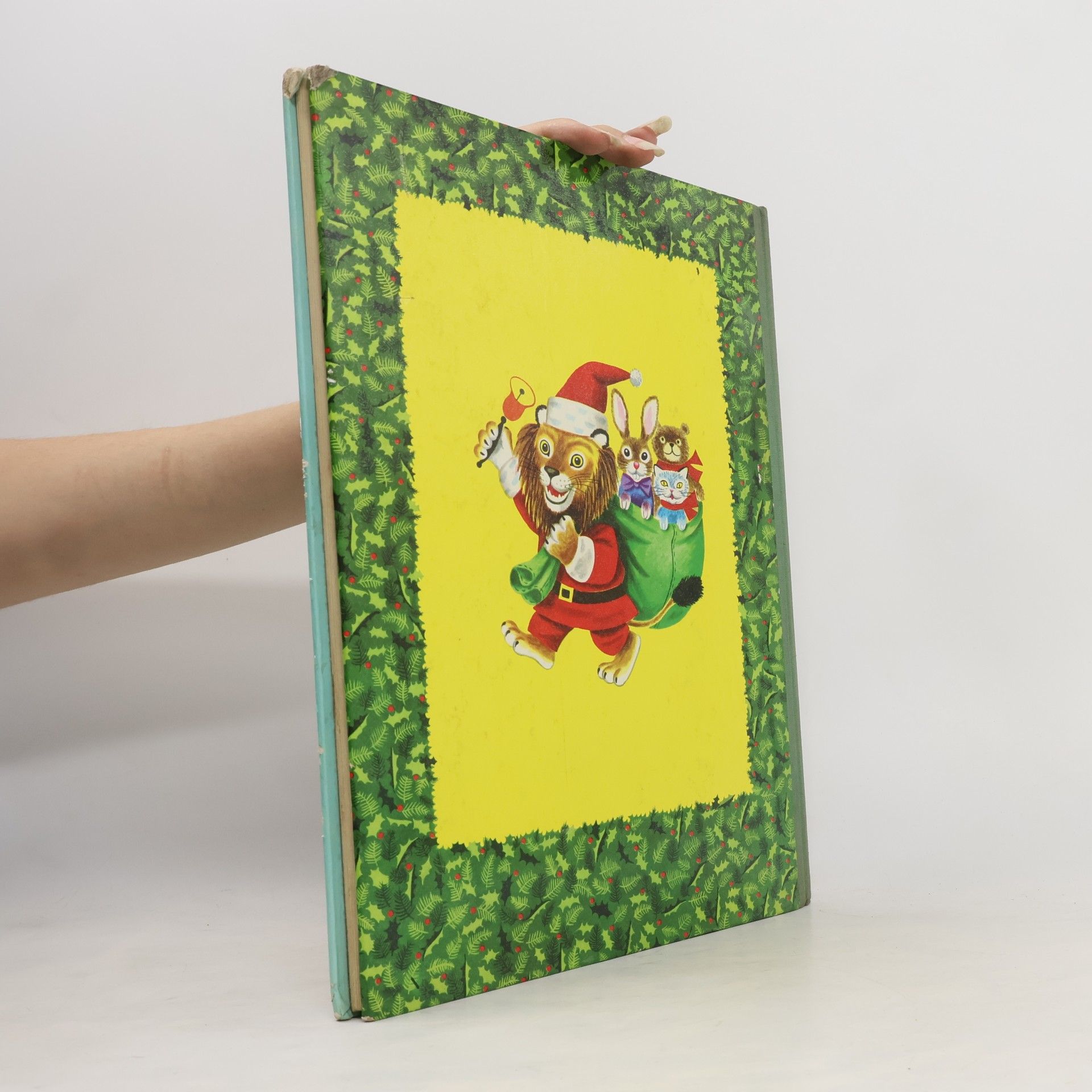 Autorenkollektiv Mein allerschönstes Weihnachtsbuch