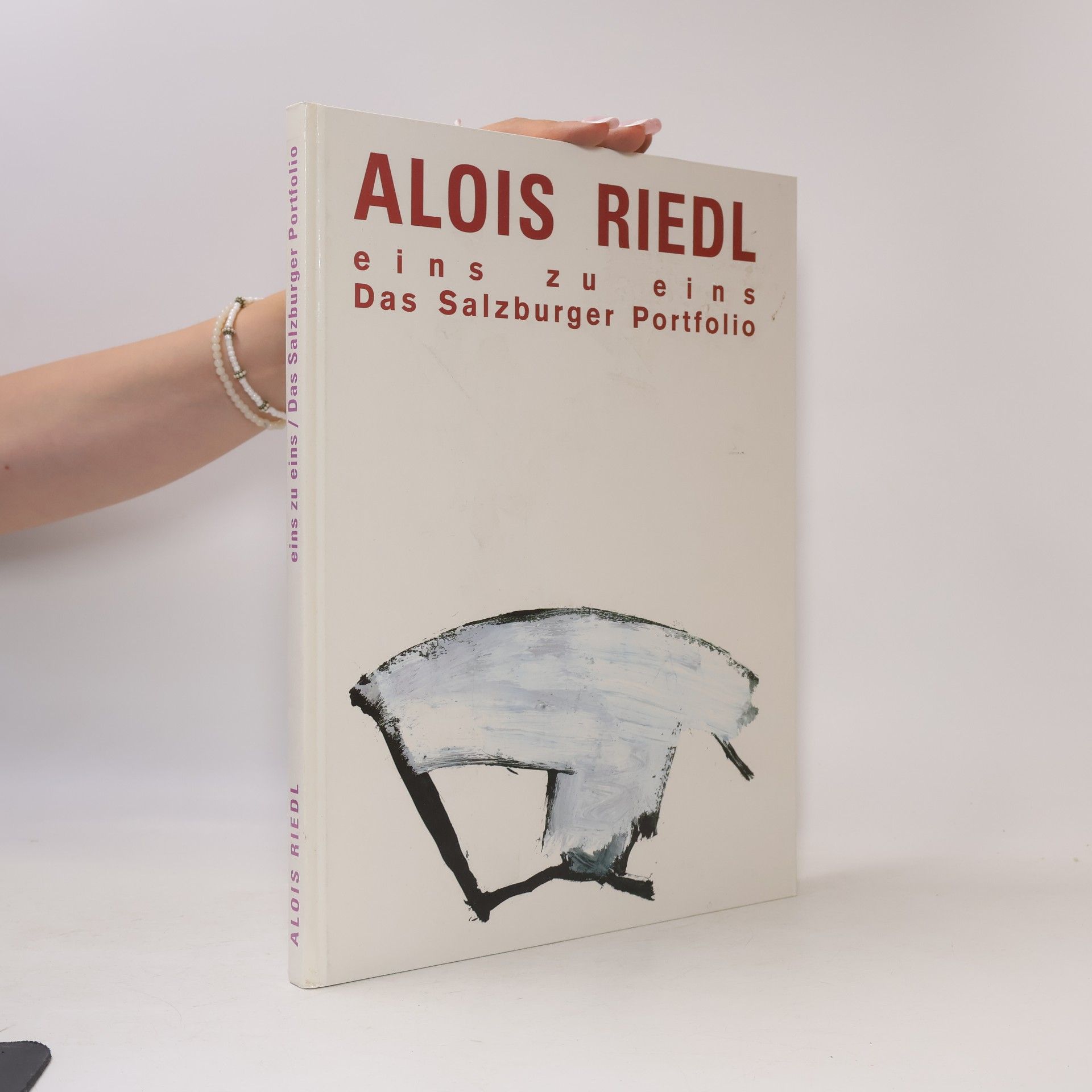 Eins zu eins. Das Salzburger Portfolio