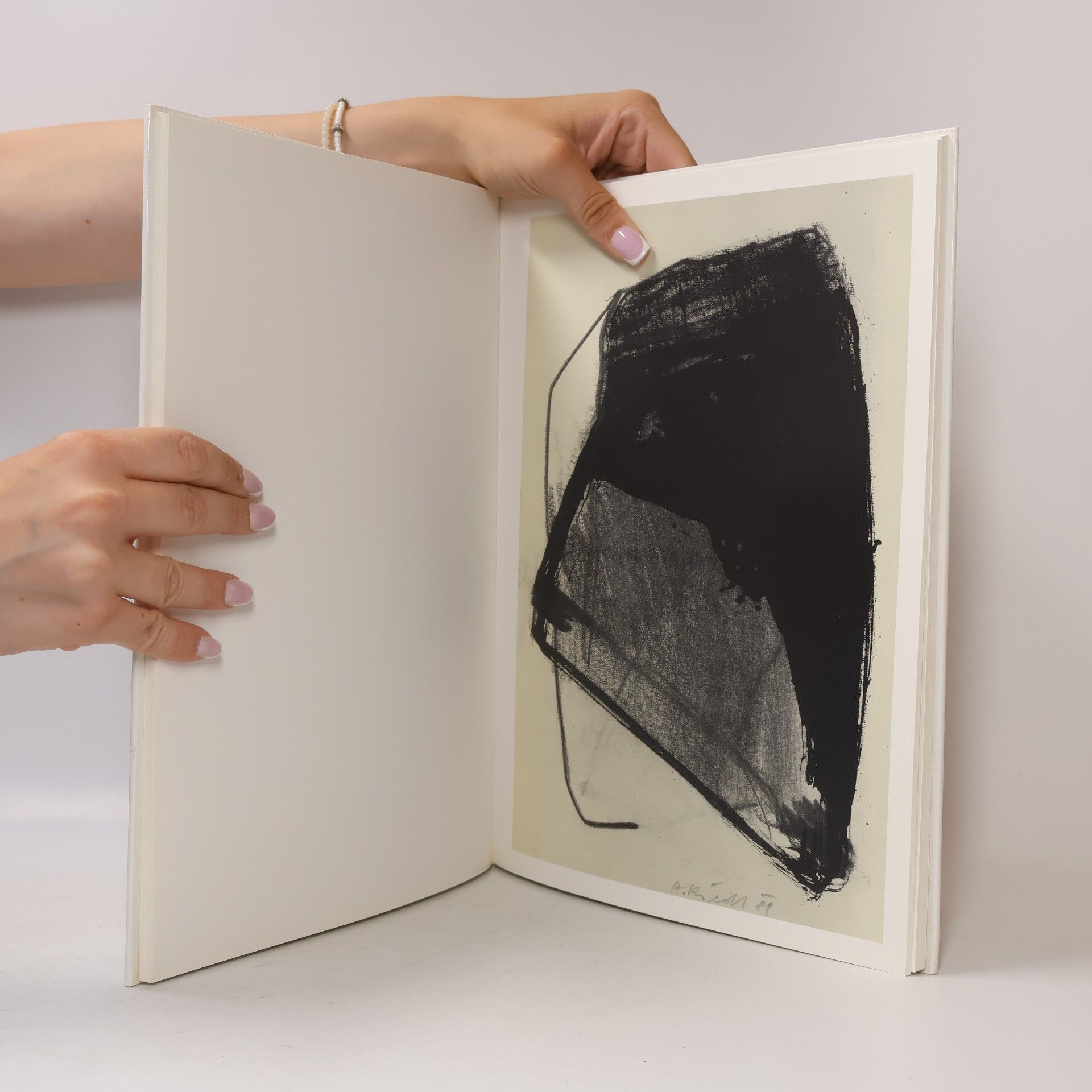 Alois Riedl Eins zu eins. Das Salzburger Portfolio