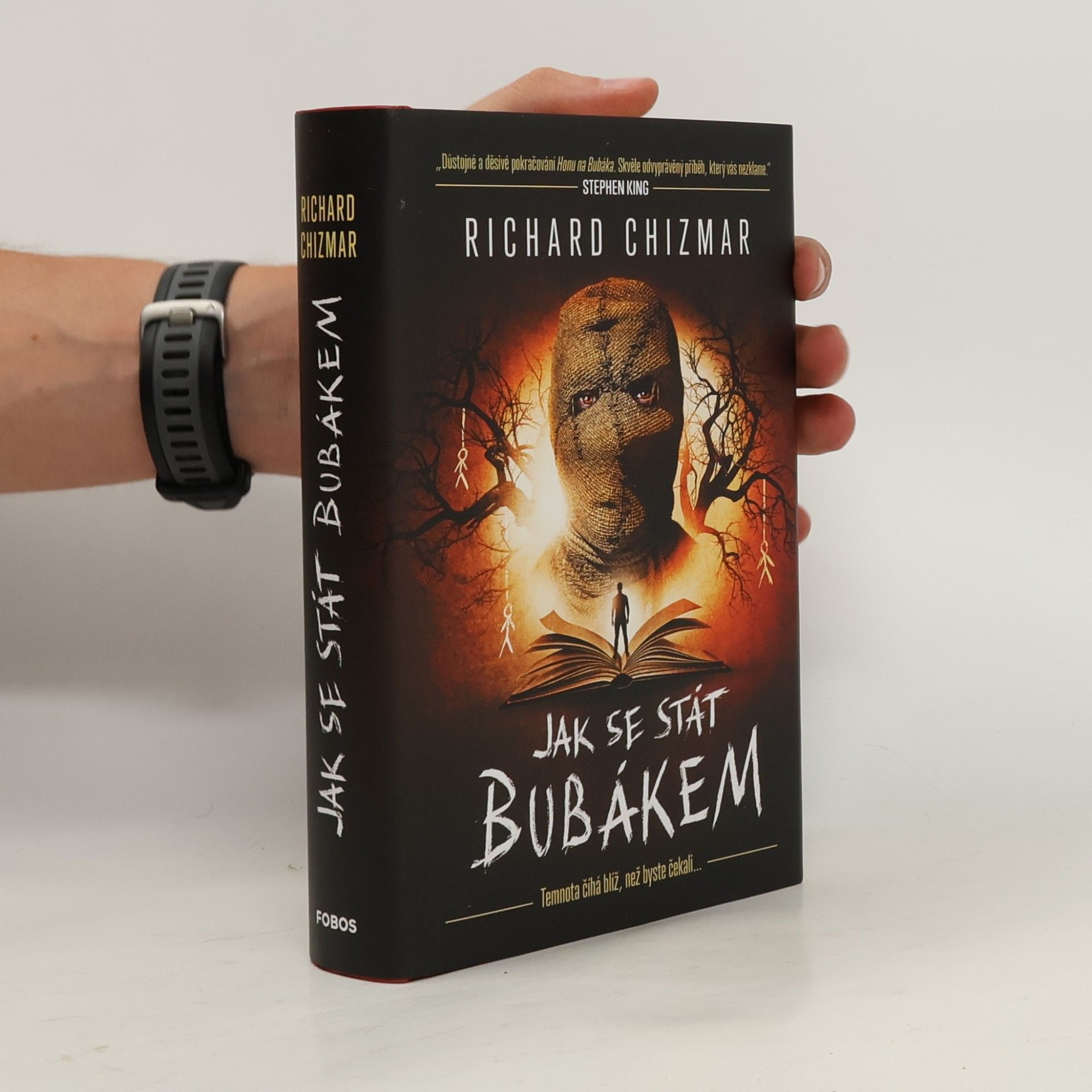 Jak se stát Bubákem