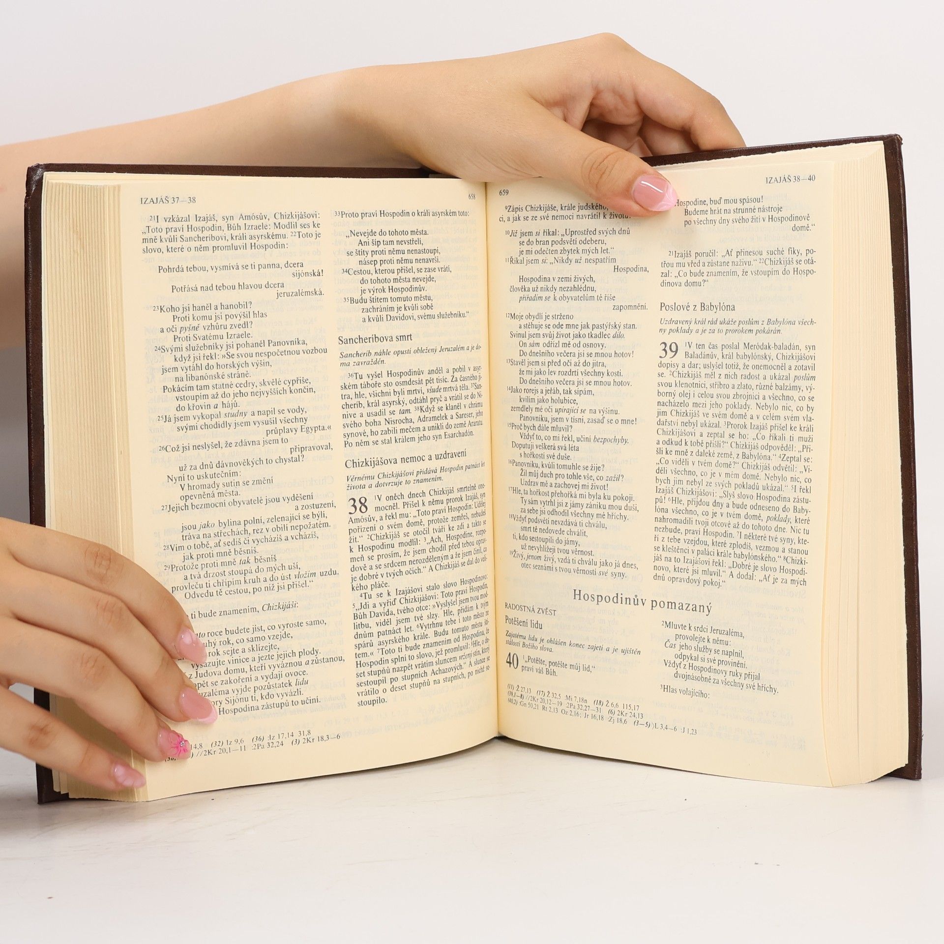 Autorenkollektiv Bible