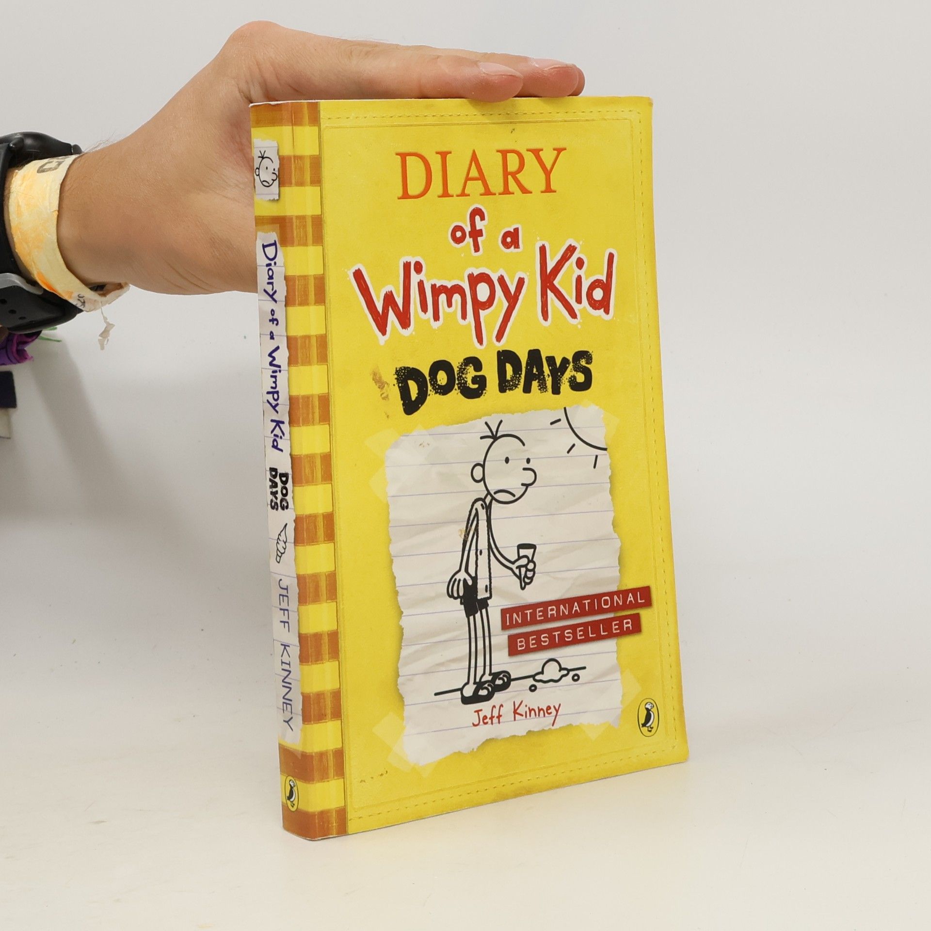 Jeff Kinney Diary of a wimpy kid : Dog days