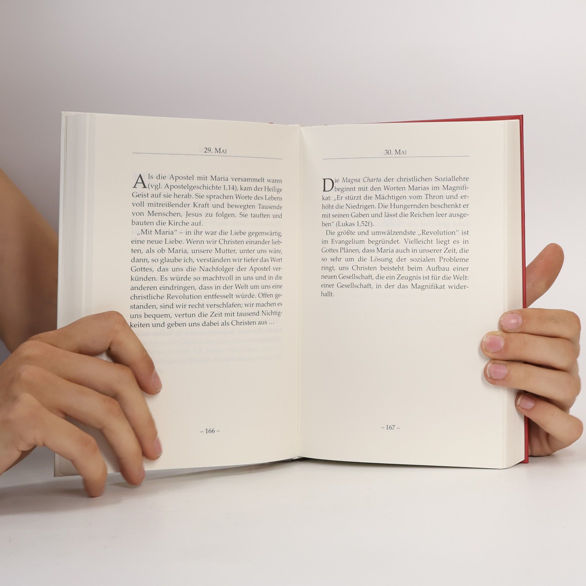 Chiara Lubich Die große Sehnsucht unserer Zeit. Jahreslesebuch