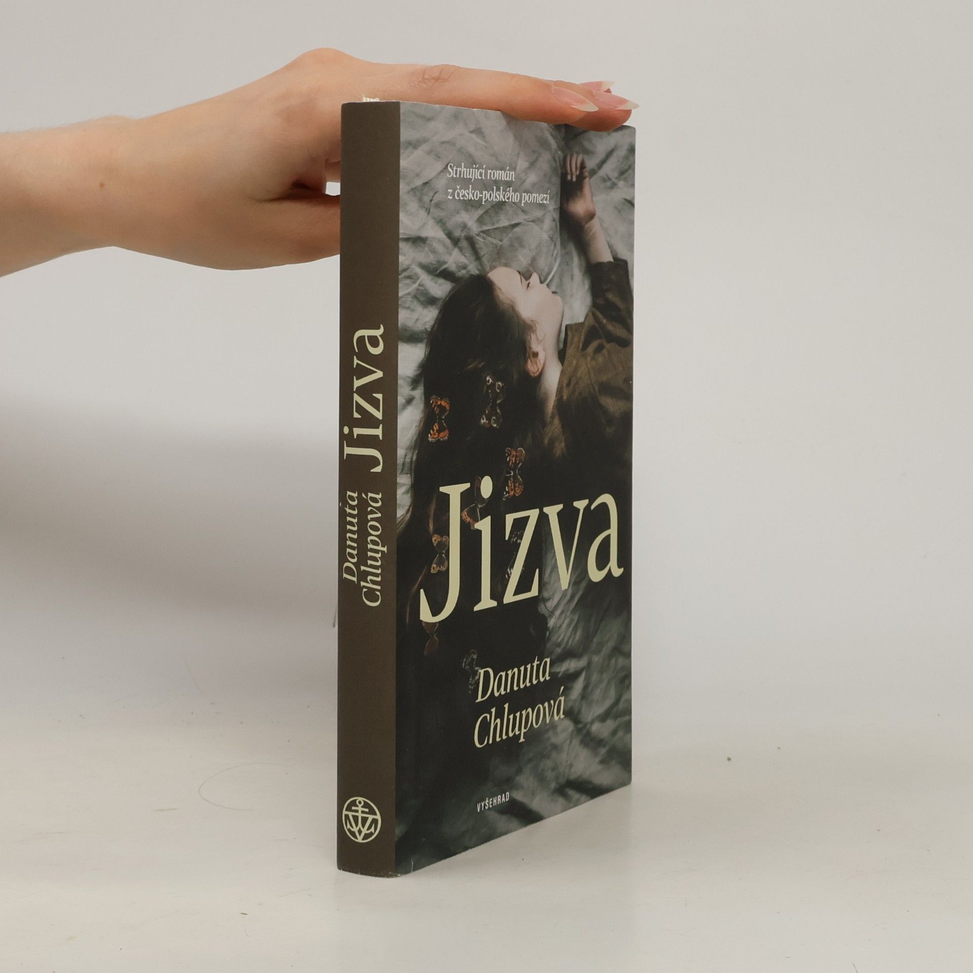 Danuta Chlupová Jizva