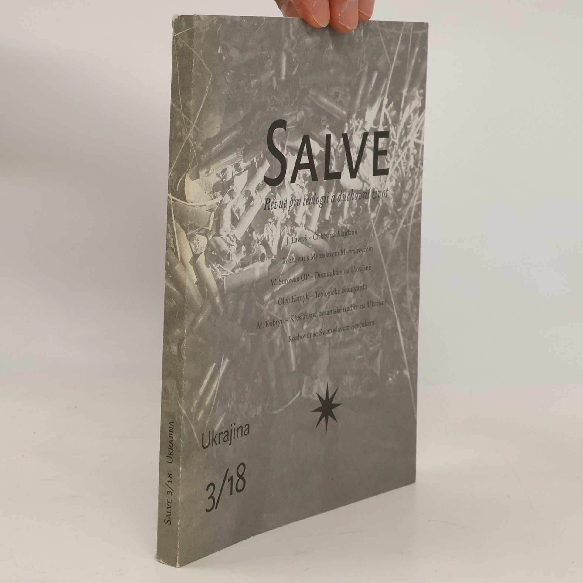 Autorenkollektiv Salve: Revue pro teologii a duchovní život (č. 3, ročník 28)
