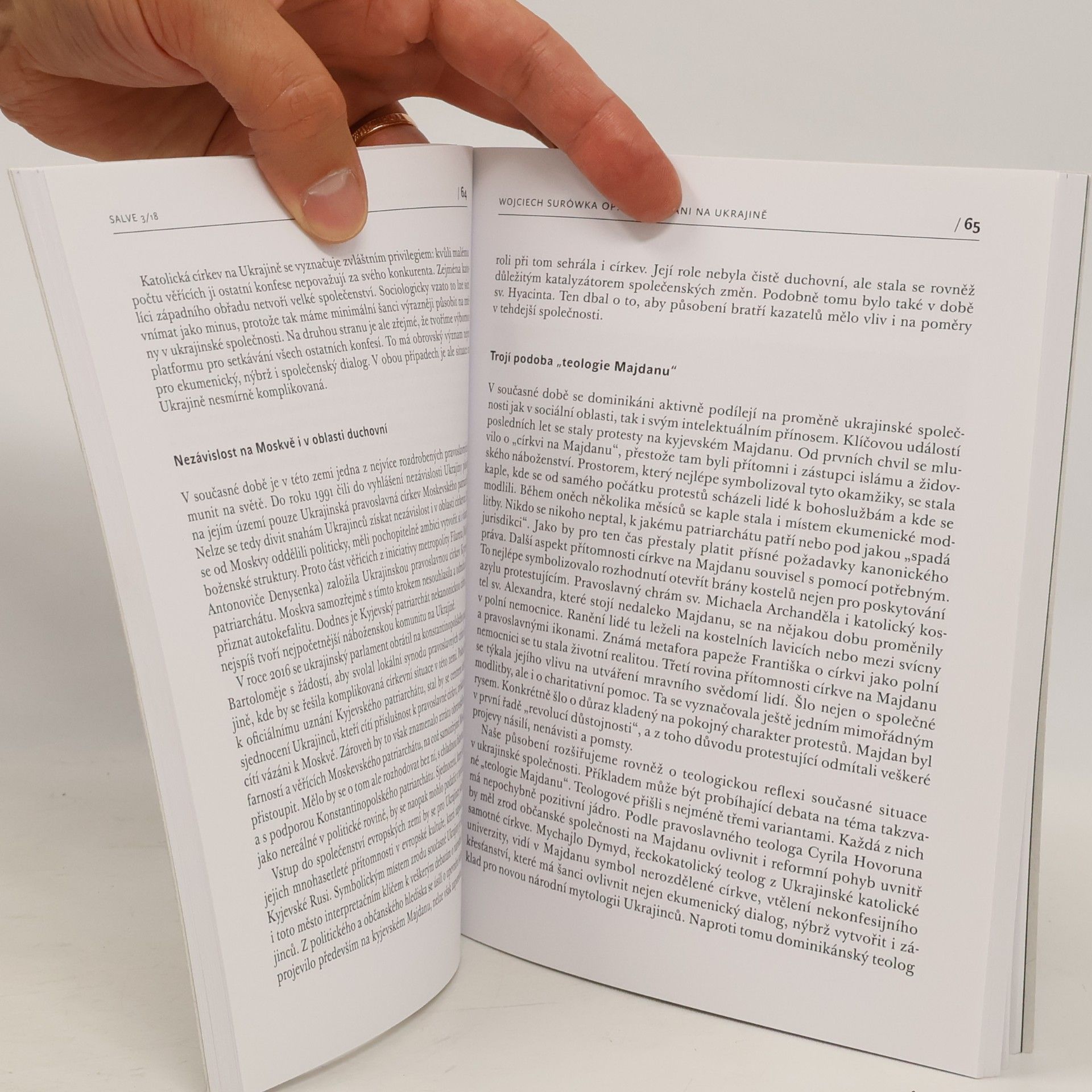 Kolektiv autorů Salve: Revue pro teologii a duchovní život (č. 3, ročník 28)