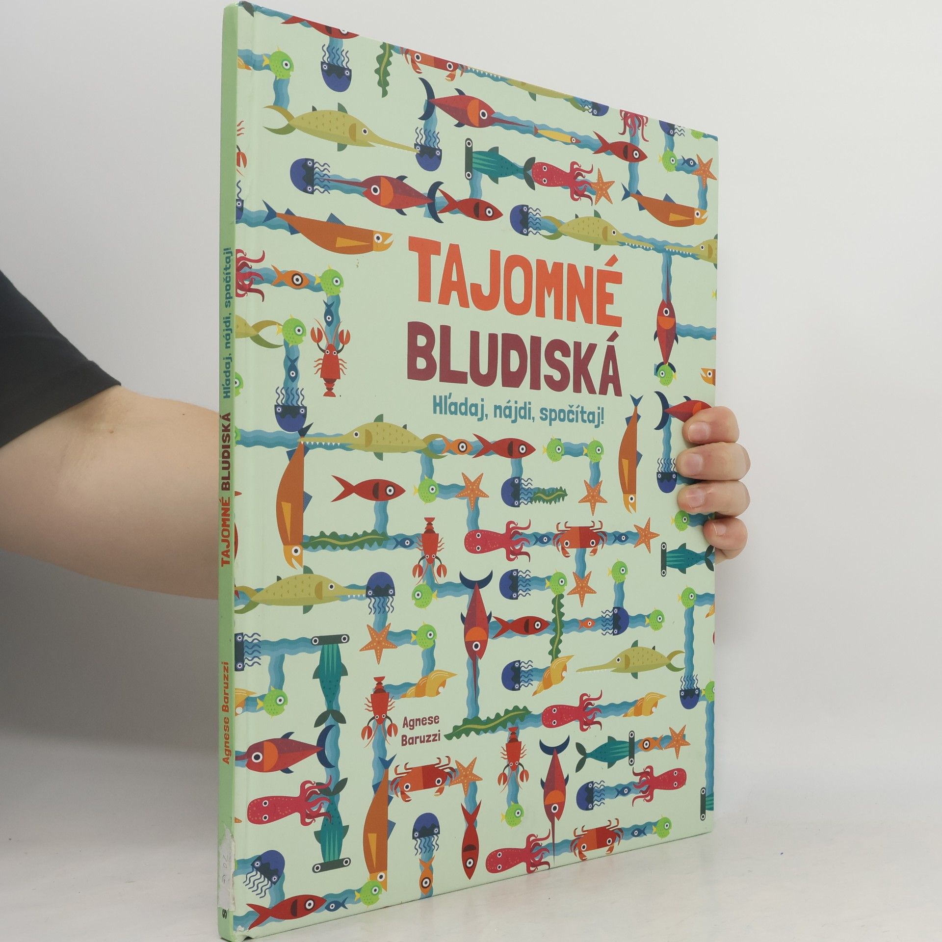Agnese Baruzzi Tajomné bludiská
