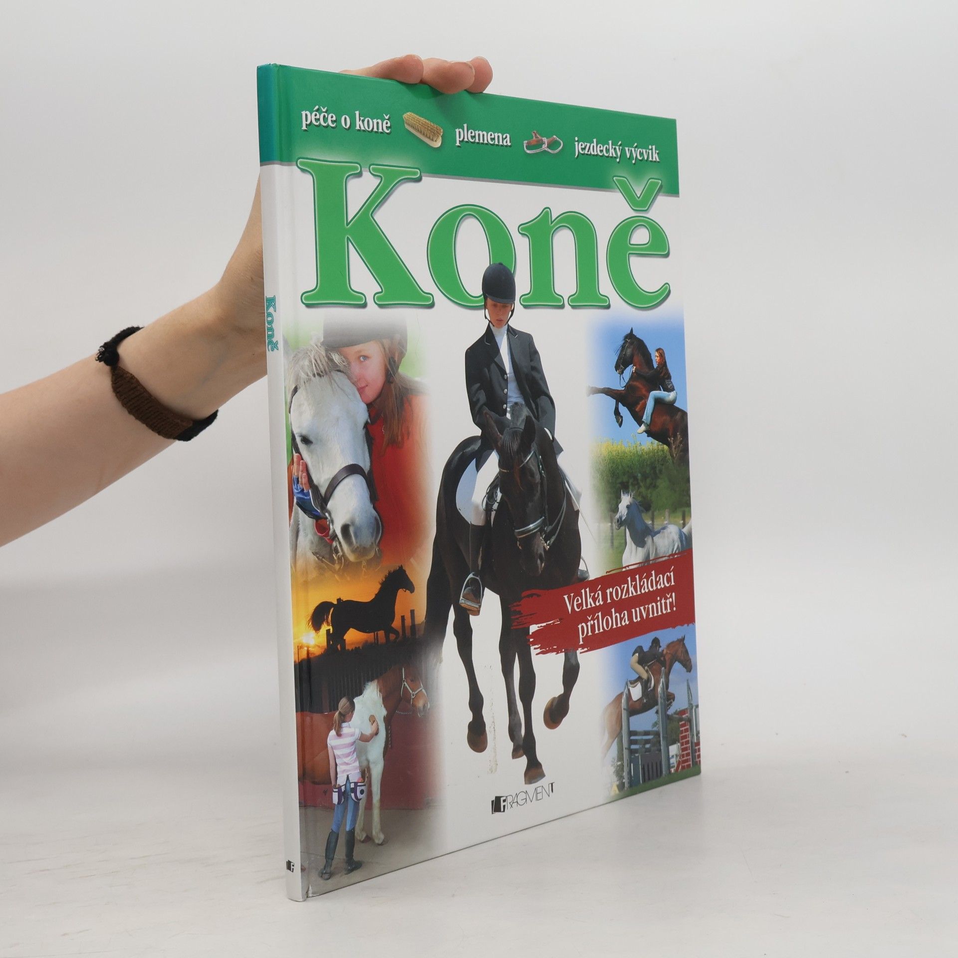 Koně