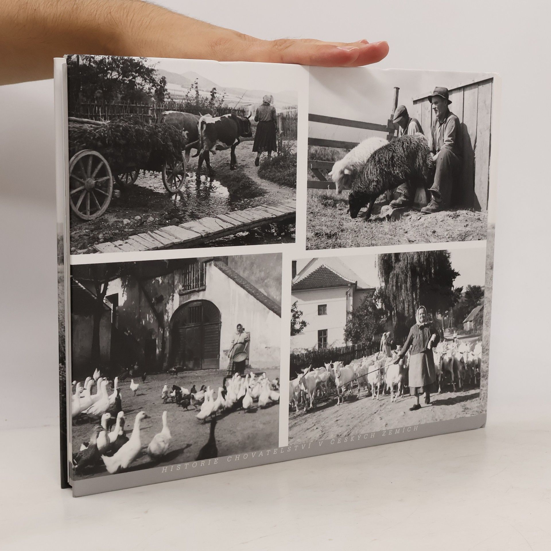 Vladimíra Růžičková Historie chovatelství v českých zemích: Z fotoarchivu Národního zemědělského muzea Praha
