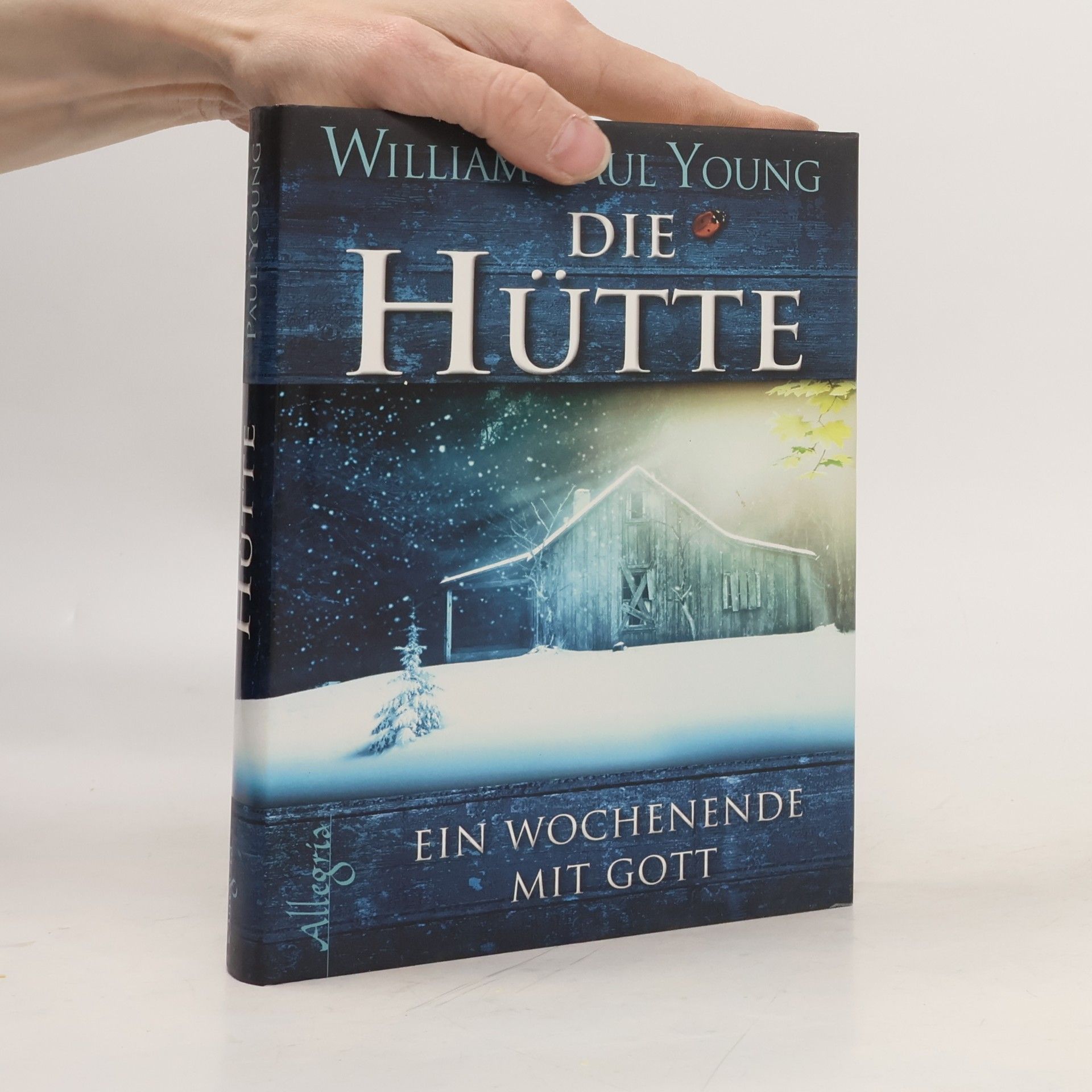 William P. Young Die Hütte