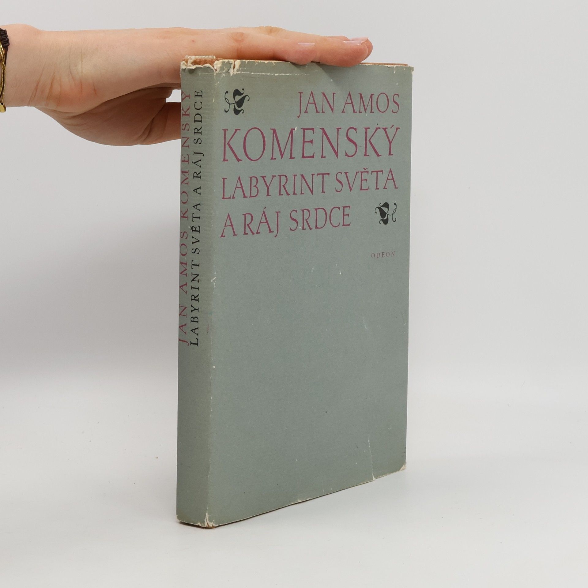 Jan Amos Komenský Labyrint světa a ráj srdce