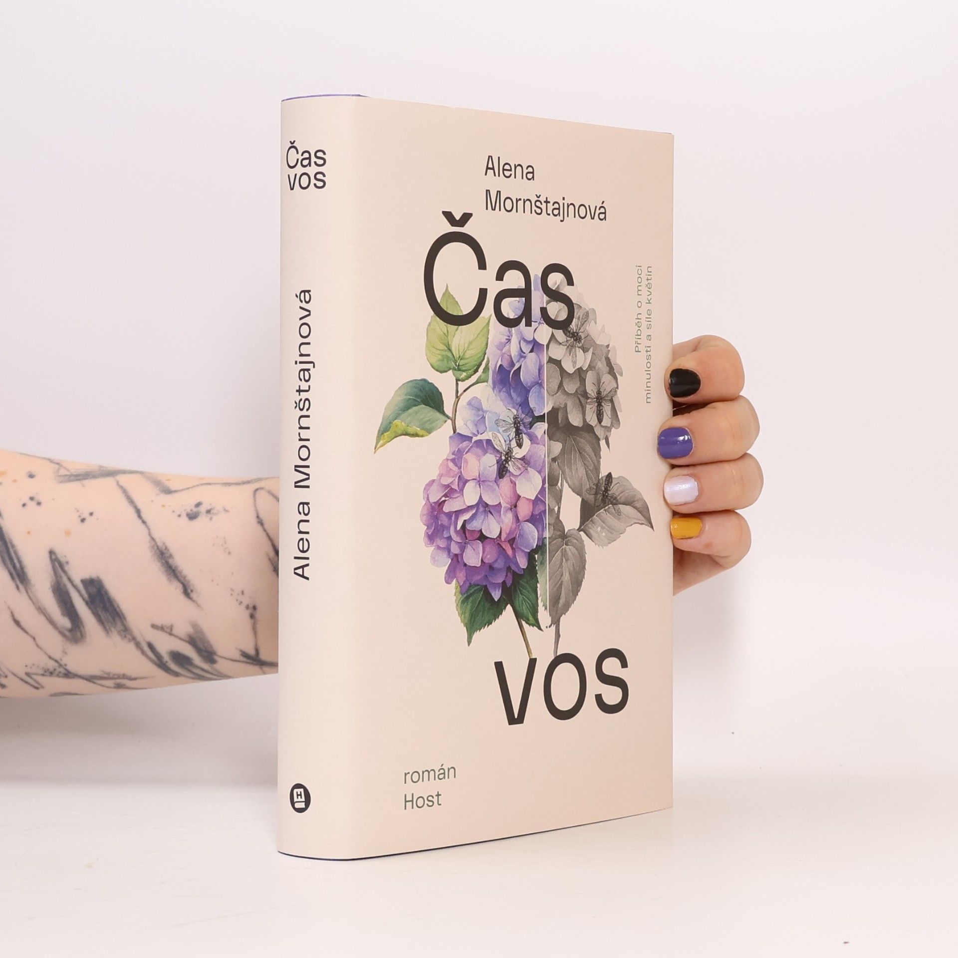 Alena Mornštajnová Čas vos