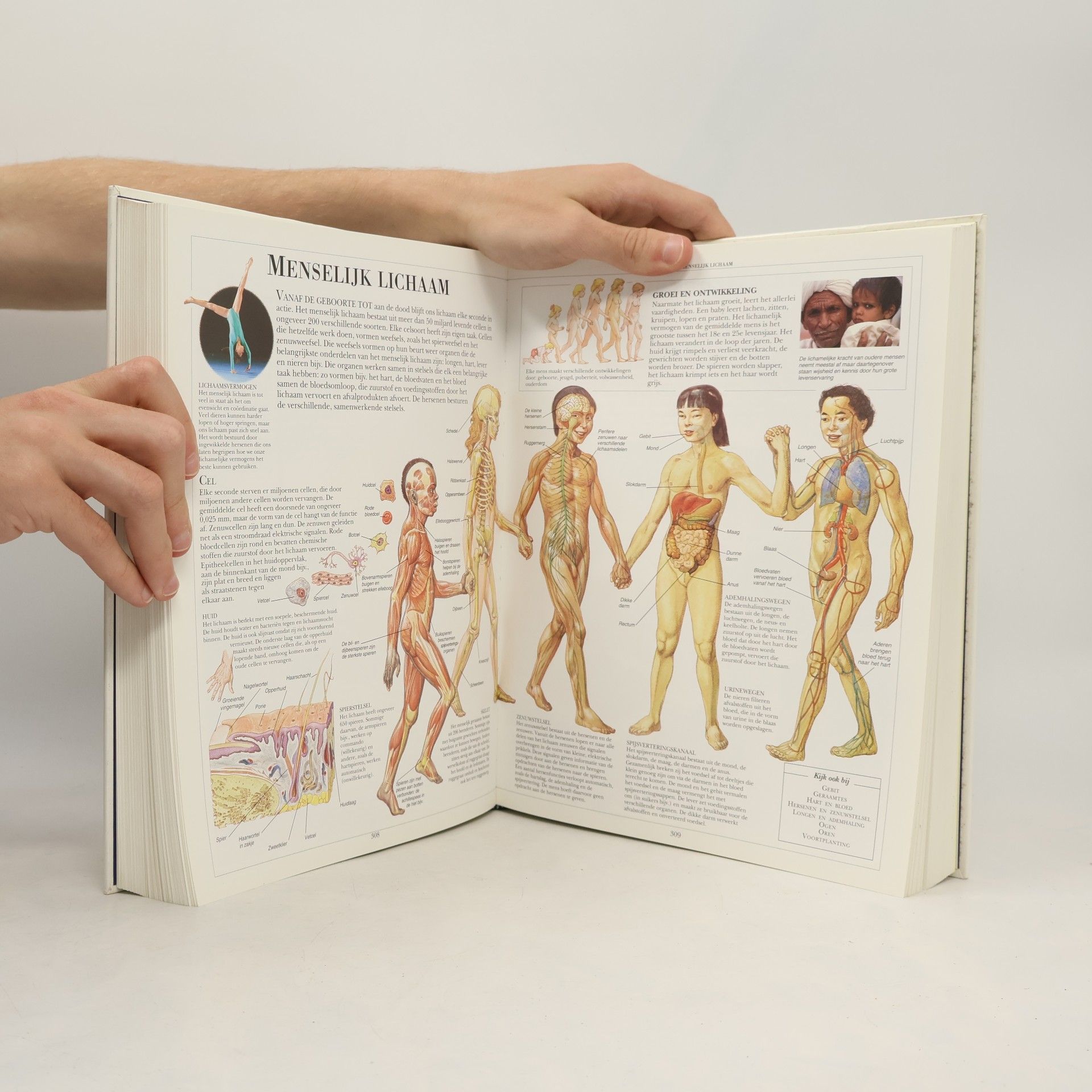 Sesam junior: Encyclopedie voor de jeugd