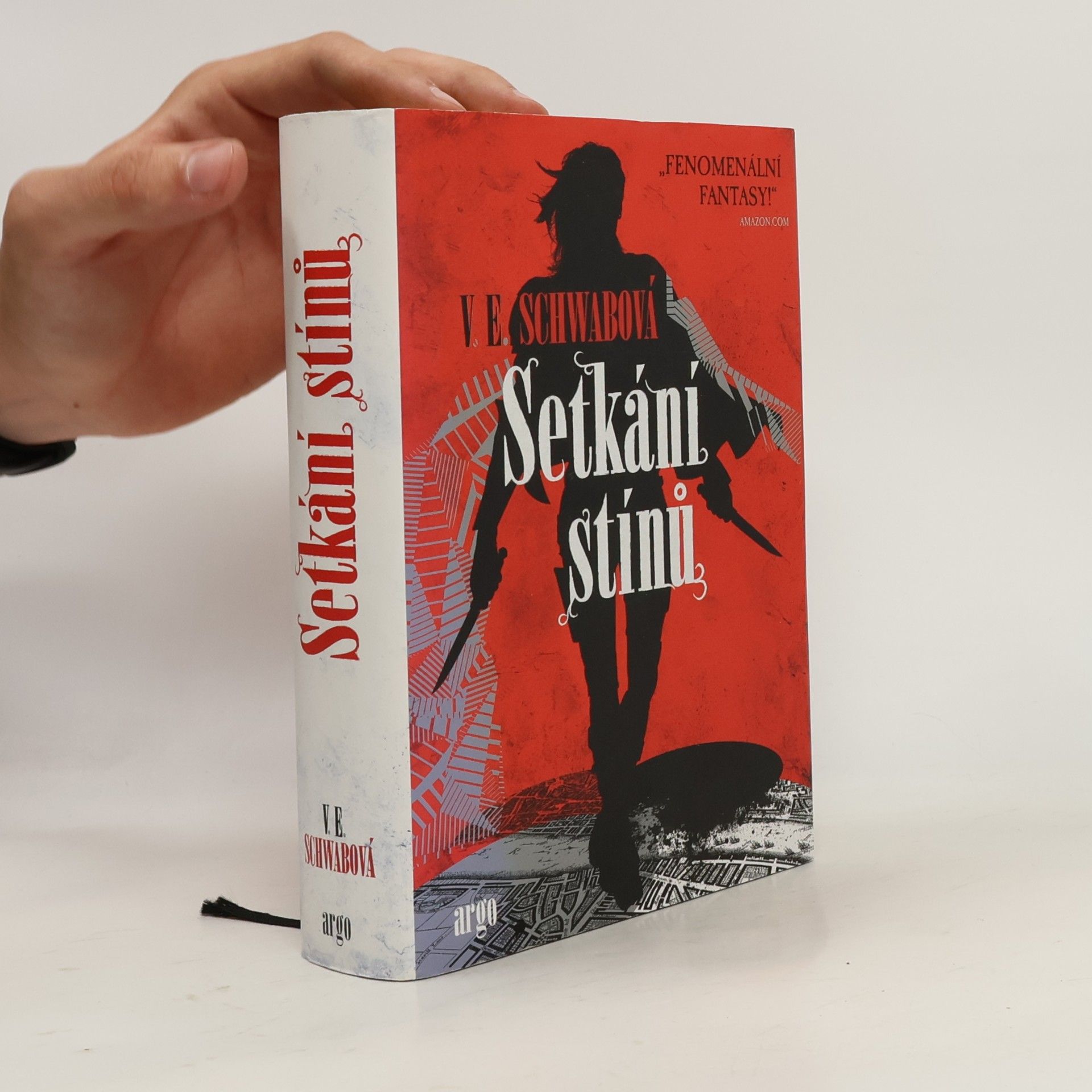 V. E. Schwab Setkání stínů