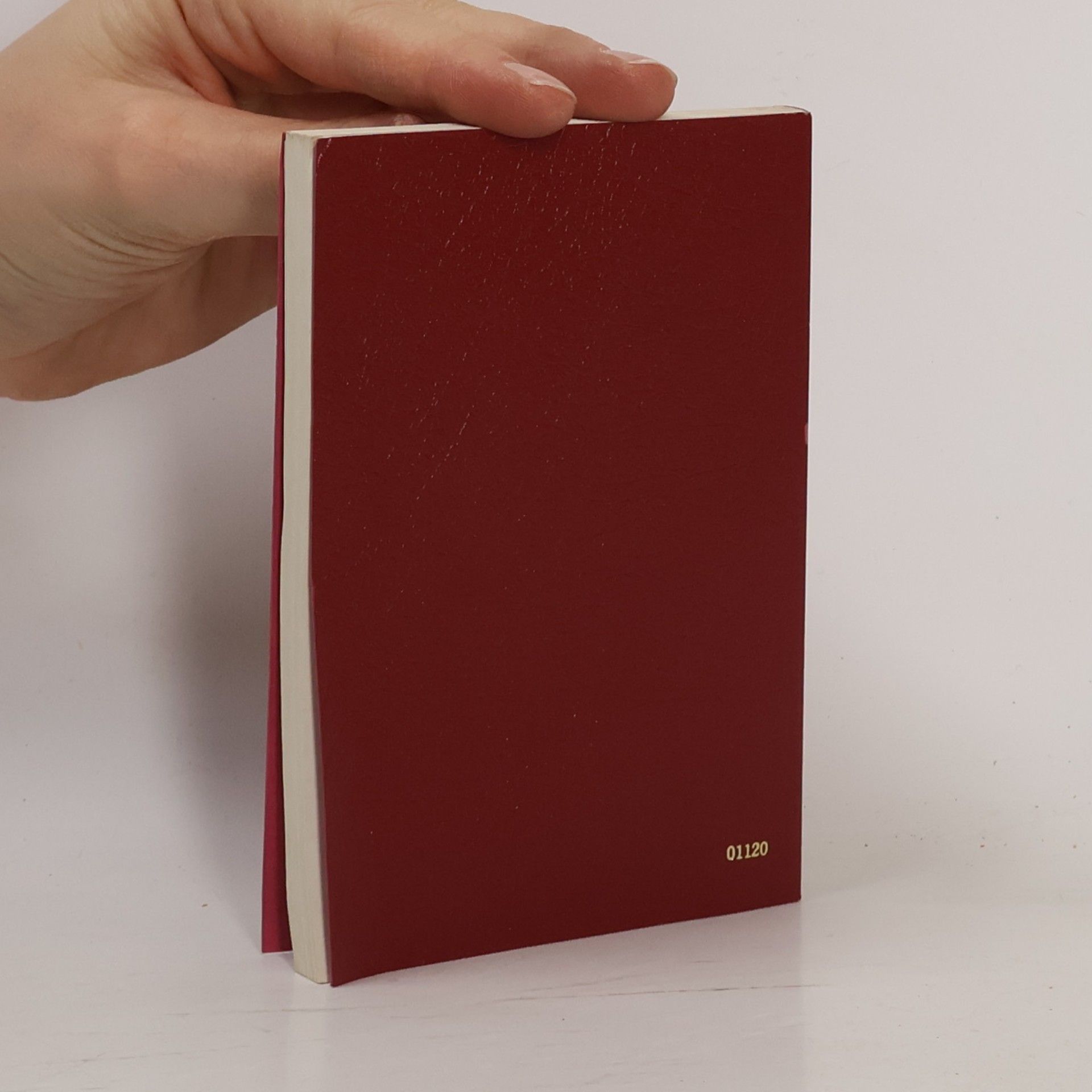 Autorenkollektiv New Testament. New International Version