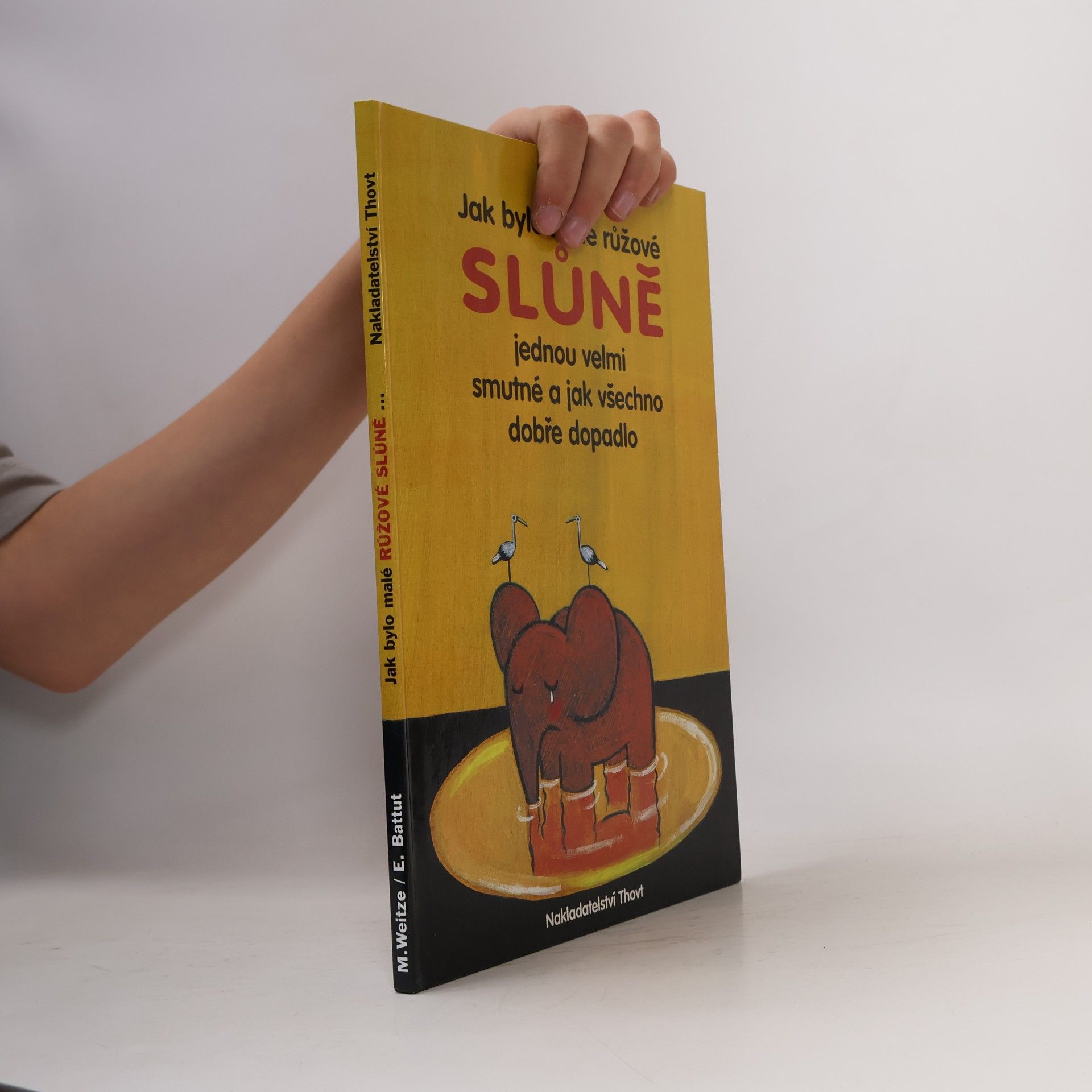 Monika Weitze Jak bylo malé růžové slůně jednou velmi smutné a jak všechno dobře dopadlo
