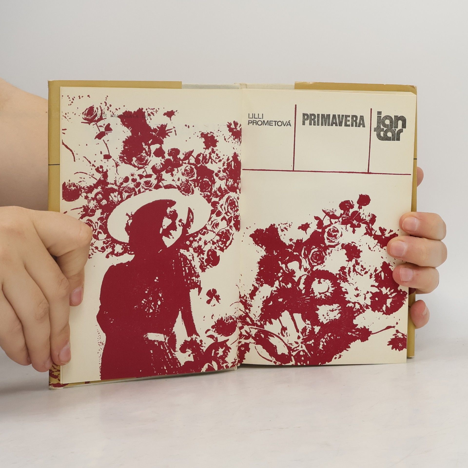 Lilli Promet Primavera