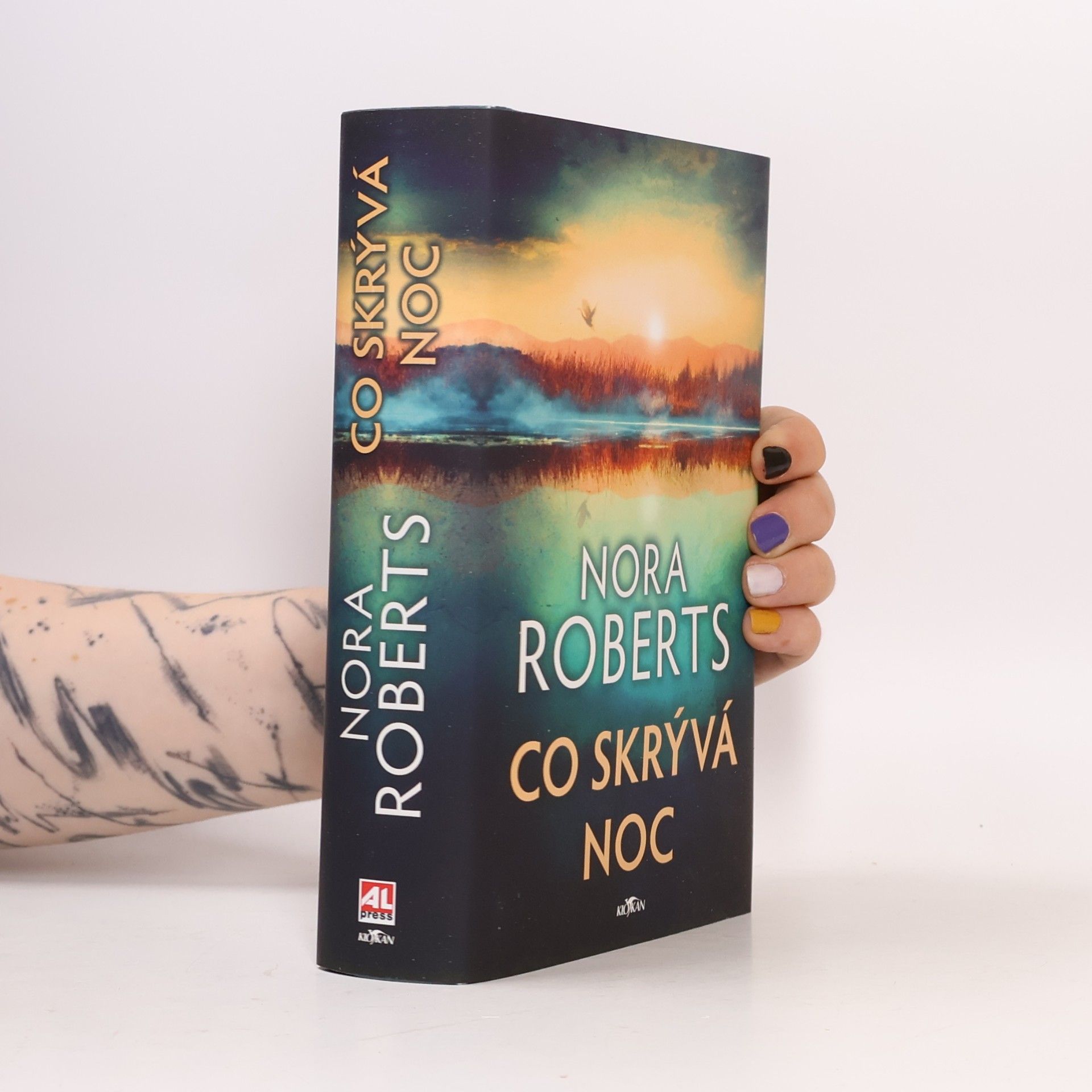 Nora Roberts Co skrývá noc