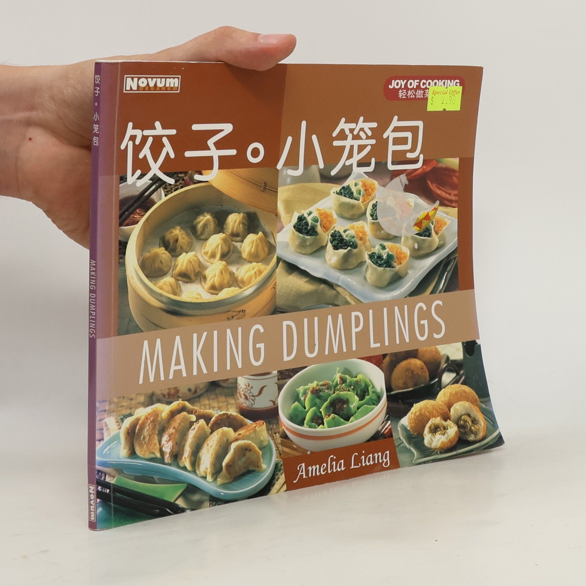 Amelia Liang 梁淑 Making Dumplings