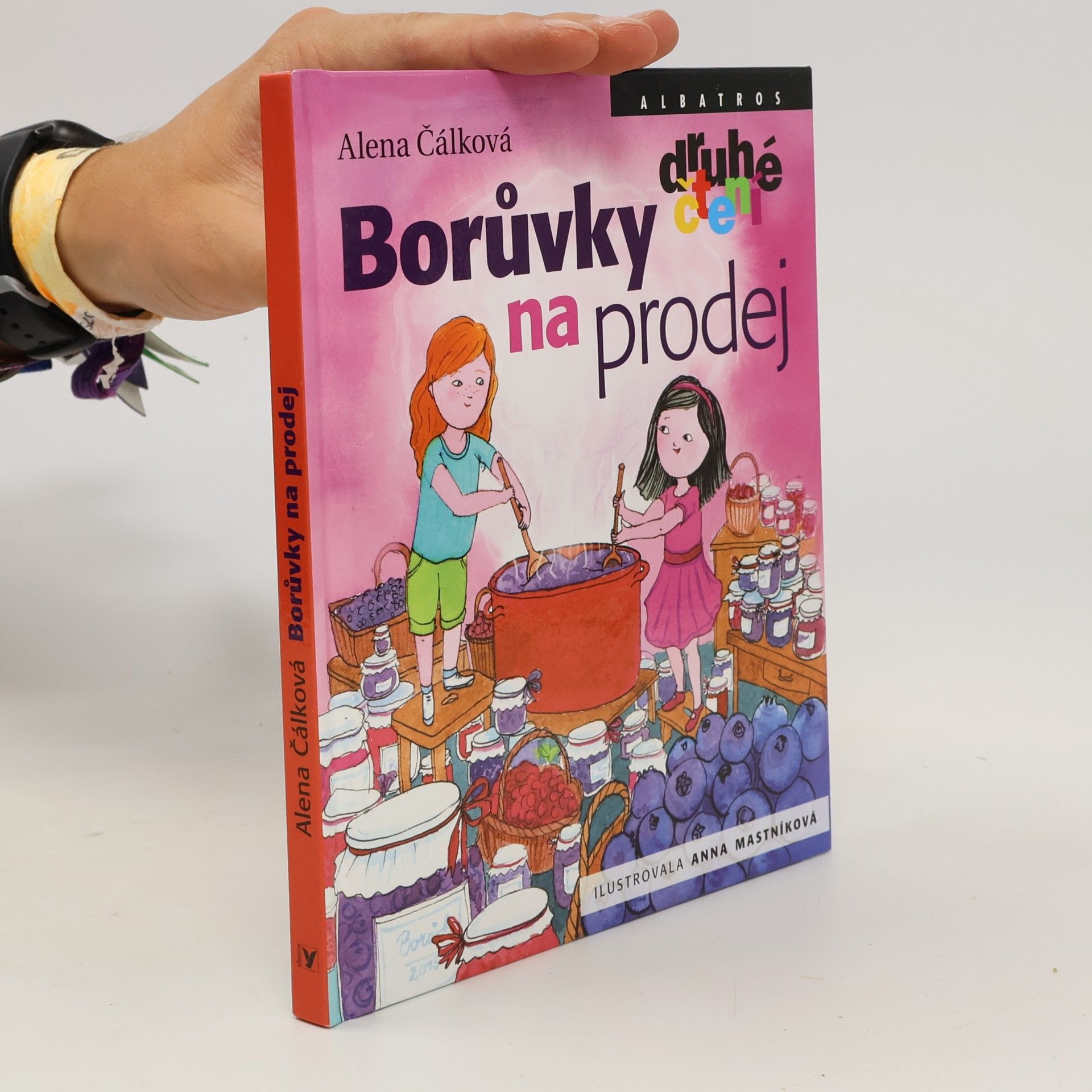 Anna Mastníková Borůvky na prodej