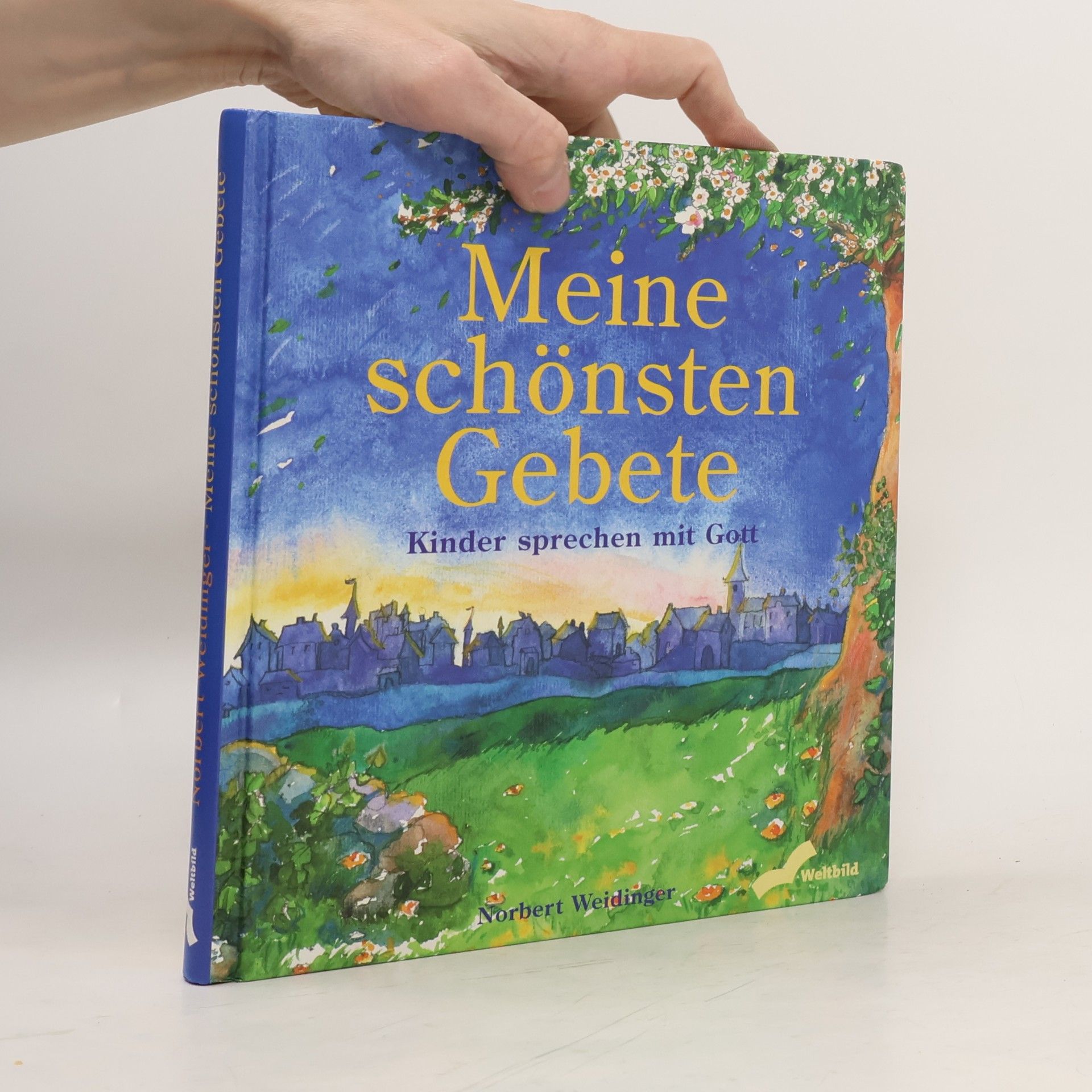 Norbert Weidinger Meine schönsten Gebete