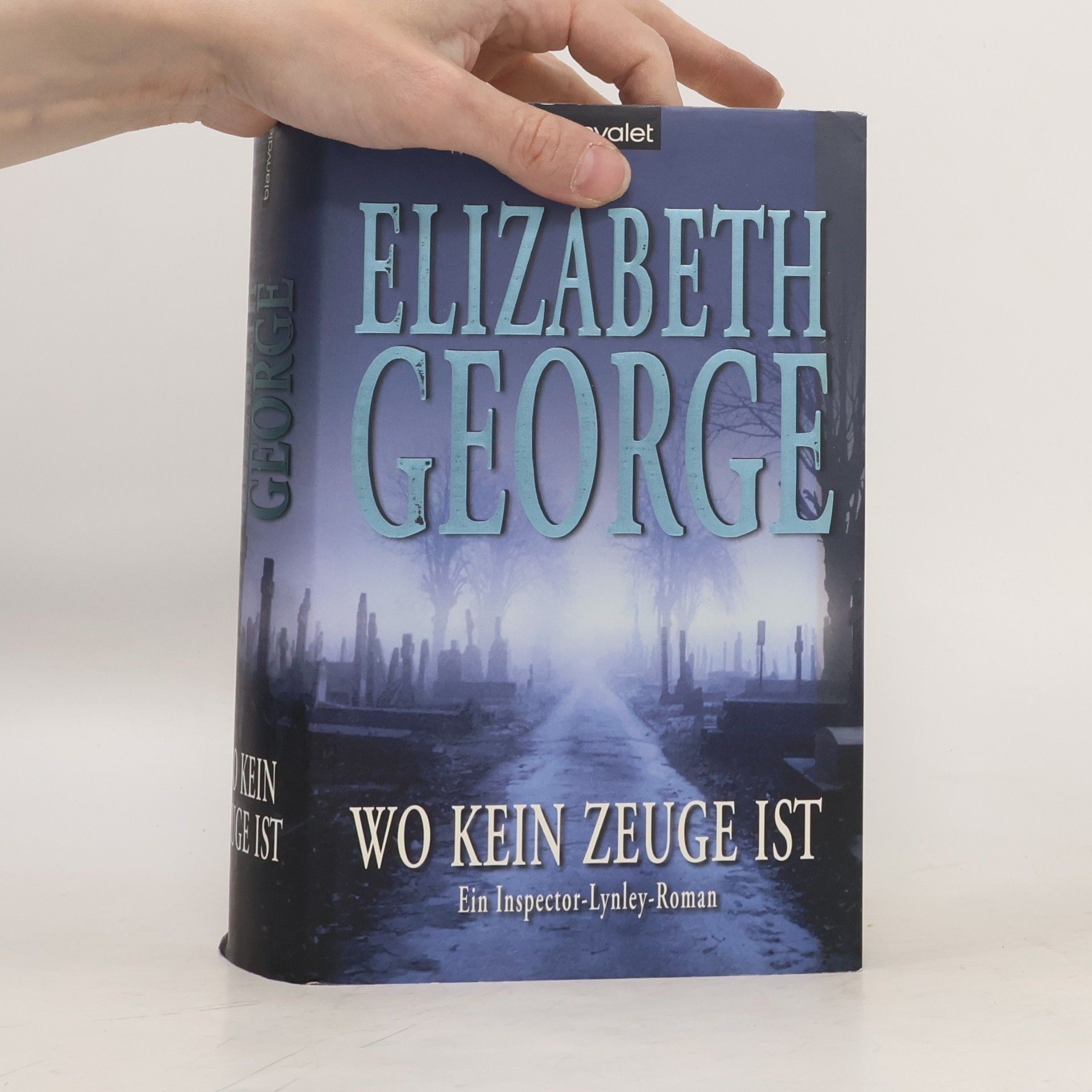 Elizabeth George Wo kein Zeuge ist