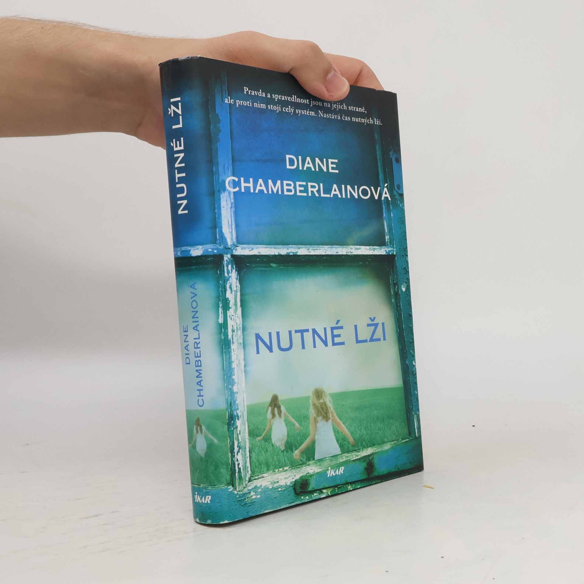 Diane Chamberlain Nutné lži