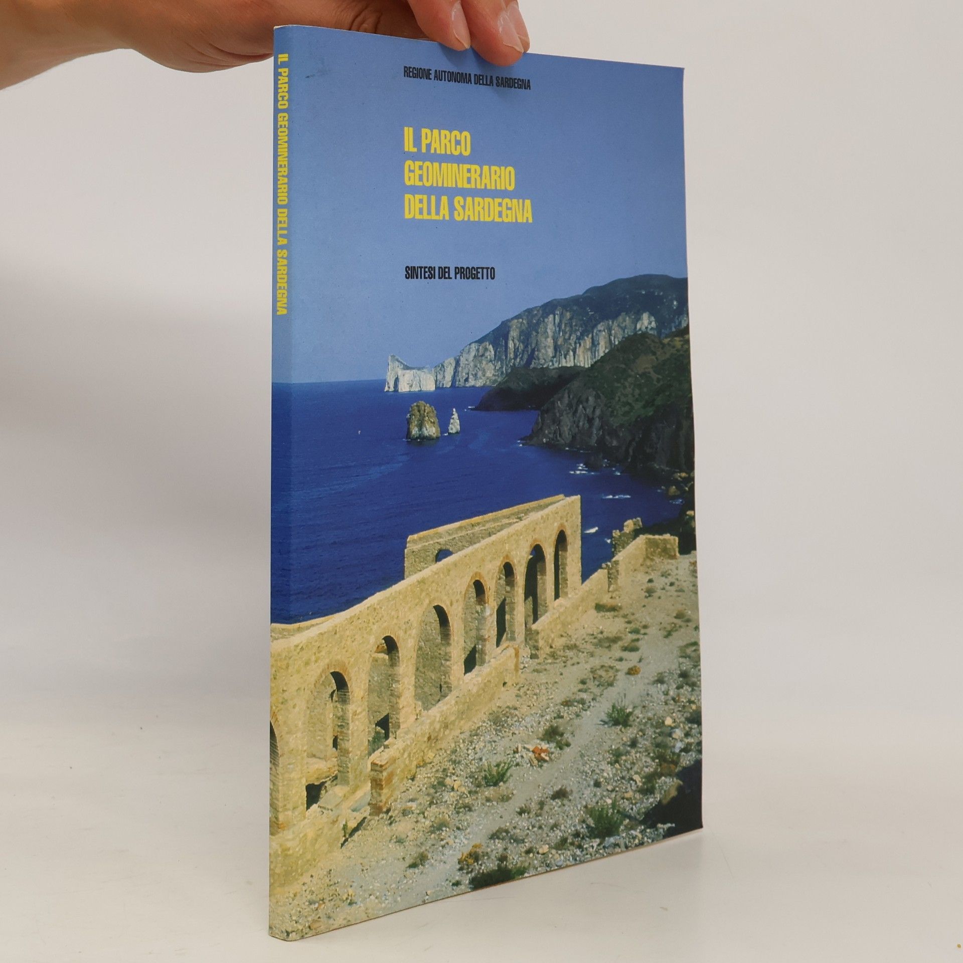 Autorenkollektiv Il Parco Geominerario della Sardegna. Sintesi del Progetto