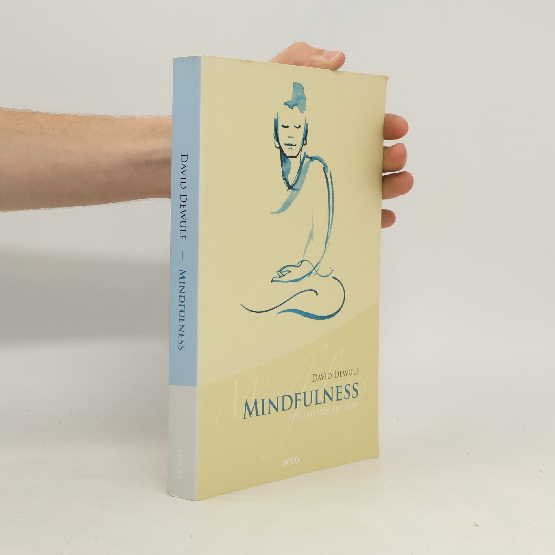 David Dewulf Mindfulness, een pad van vrijheid