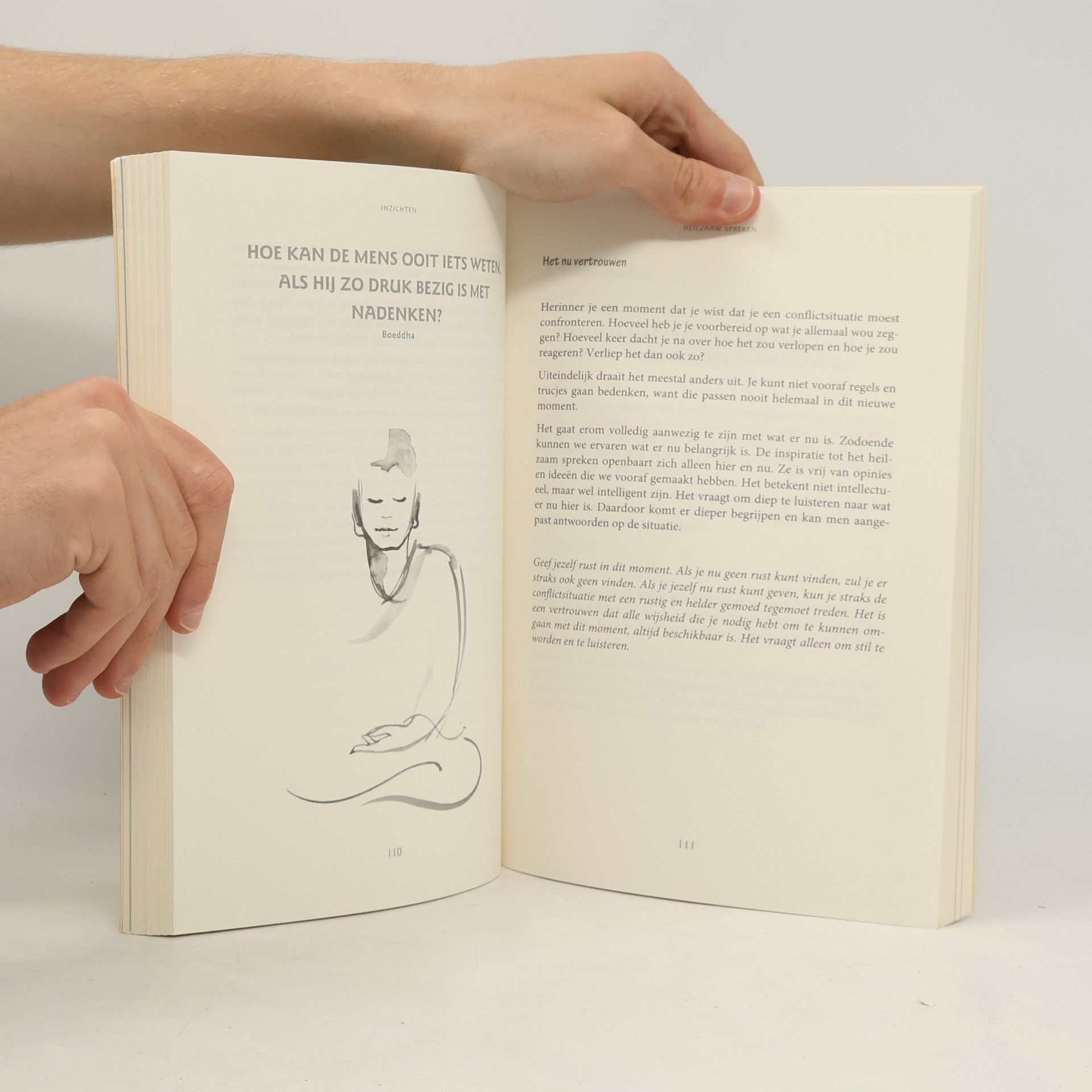 David Dewulf Mindfulness, een pad van vrijheid